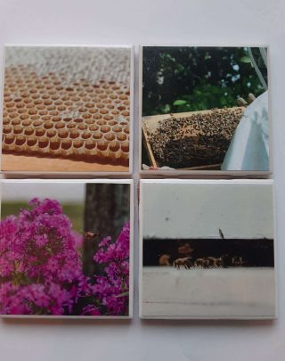 Farm Coaster Set of 4 Pollinators