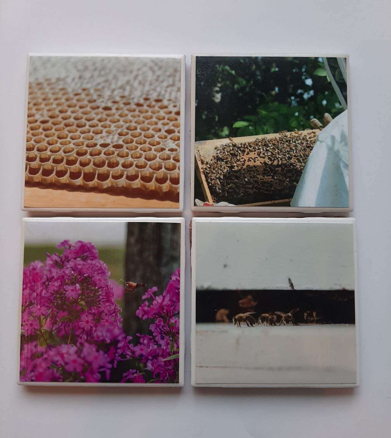 Farm Coaster Set of 4 Pollinators