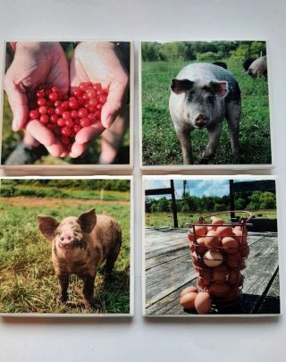 Farm Coaster Set of 4 Assorted Farm