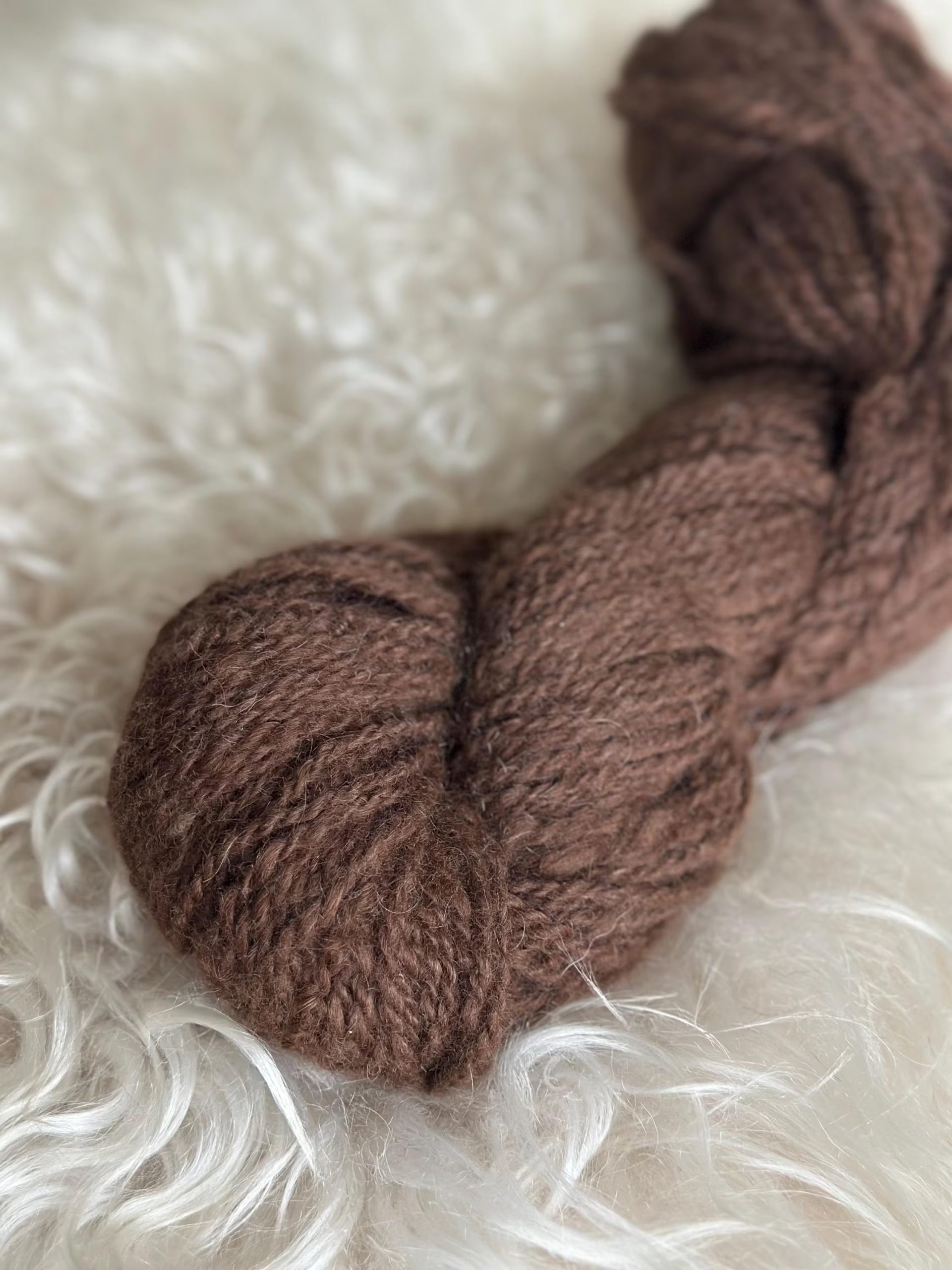 Cocoa Organic Yarn - Image 3