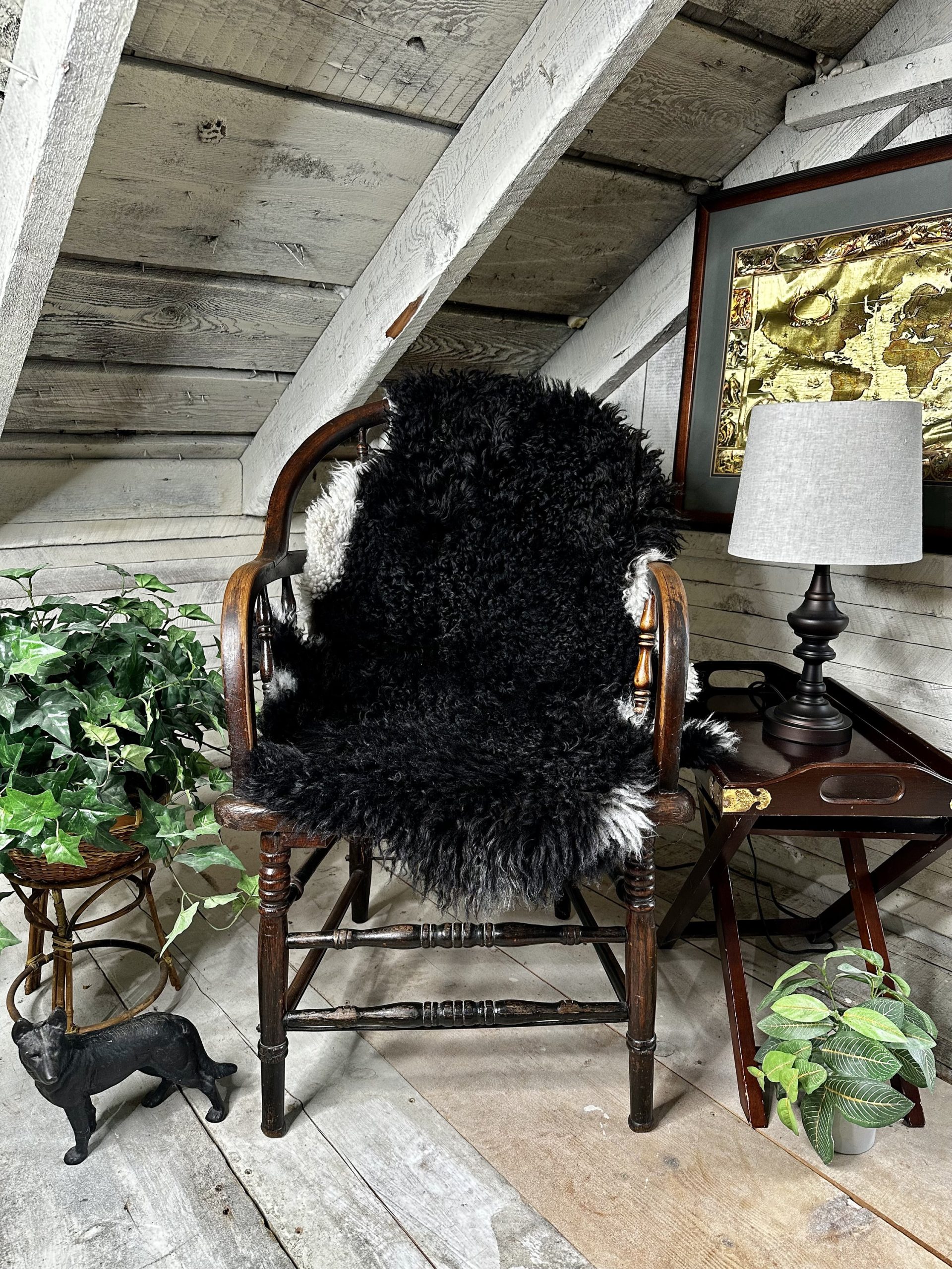 All Natural Ebony Black Sheepskin with White Trim