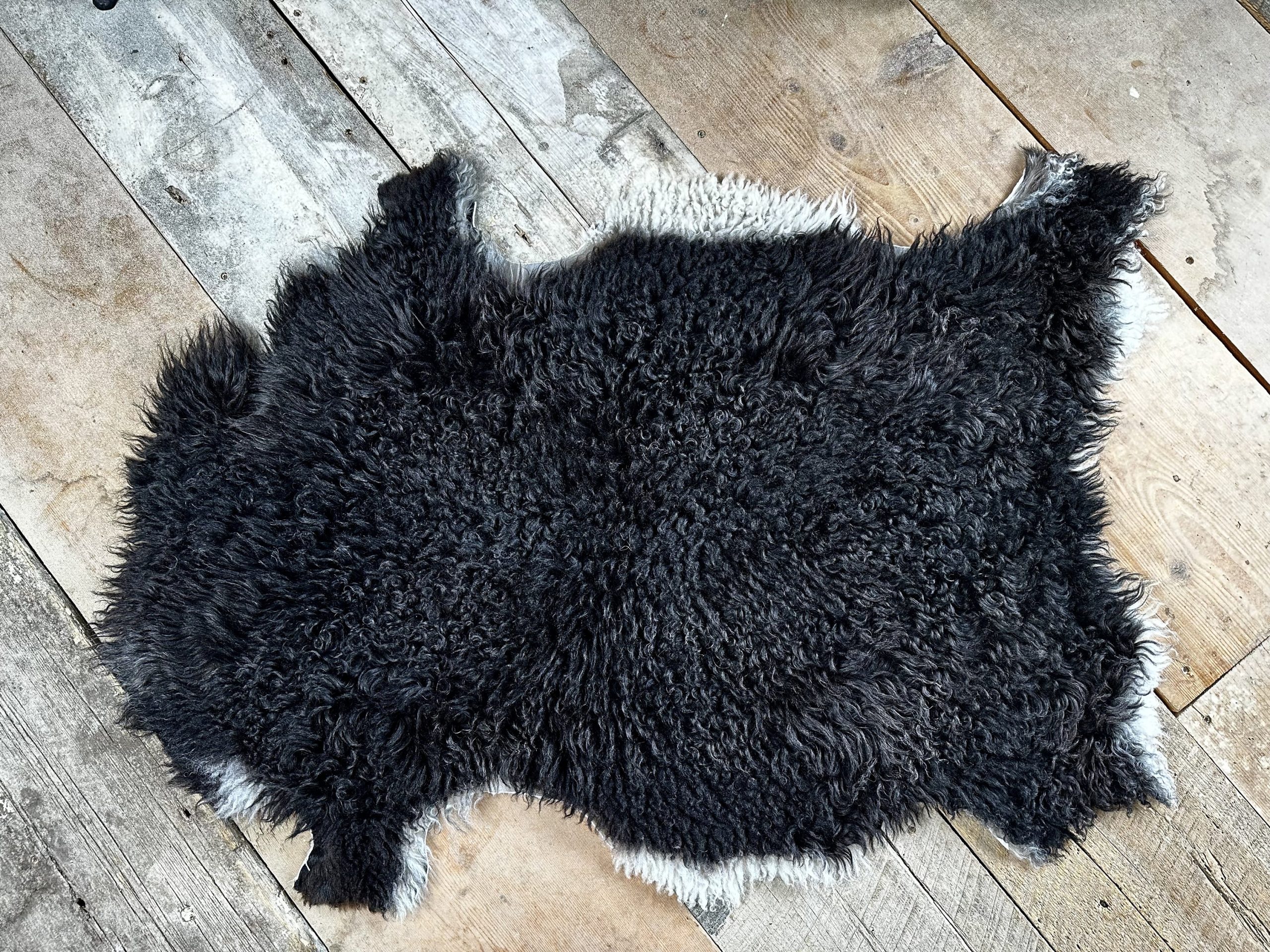 All Natural Ebony Black Sheepskin with White Trim - Image 3