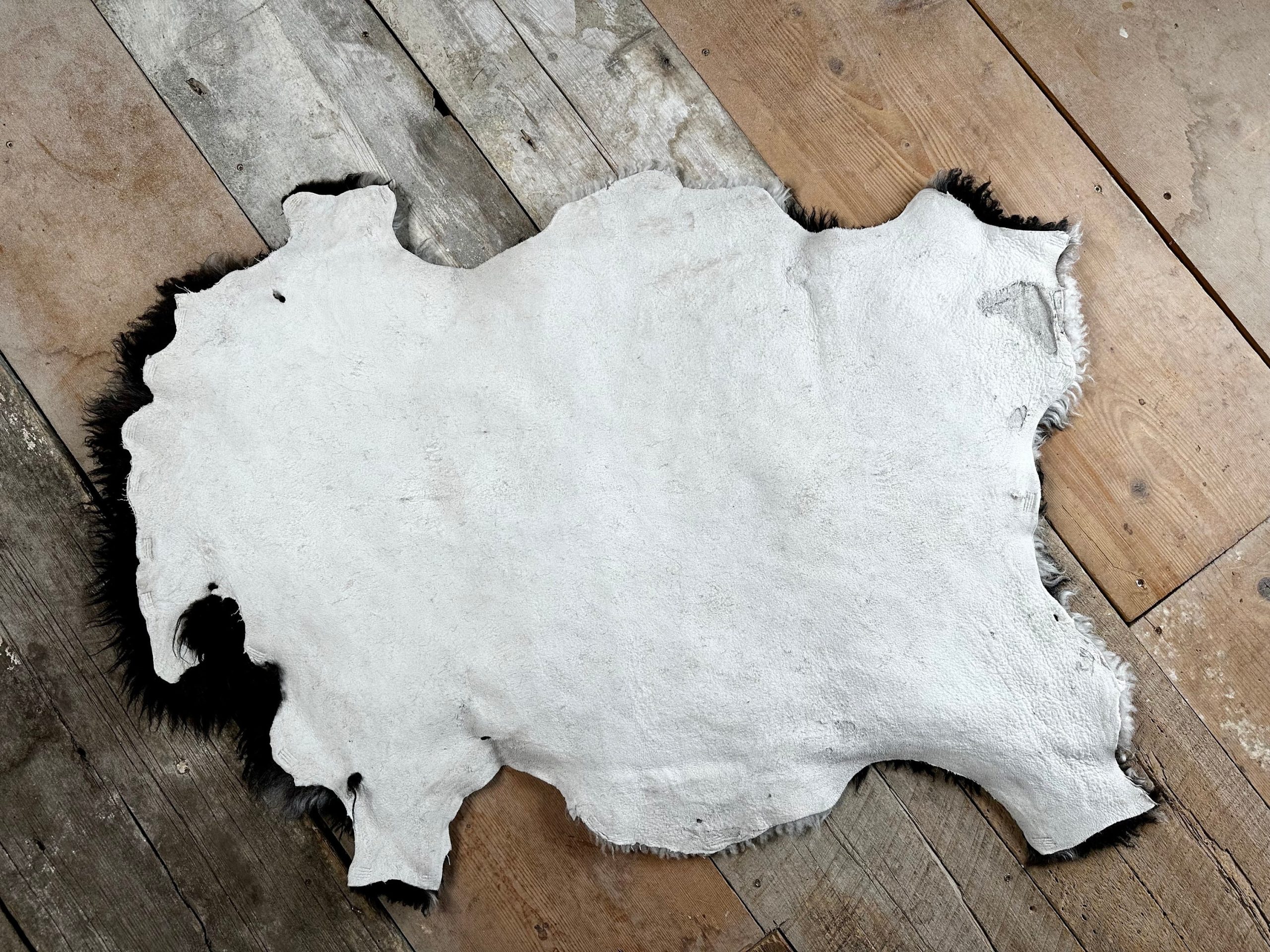 All Natural Ebony Black Sheepskin with White Trim - Image 4