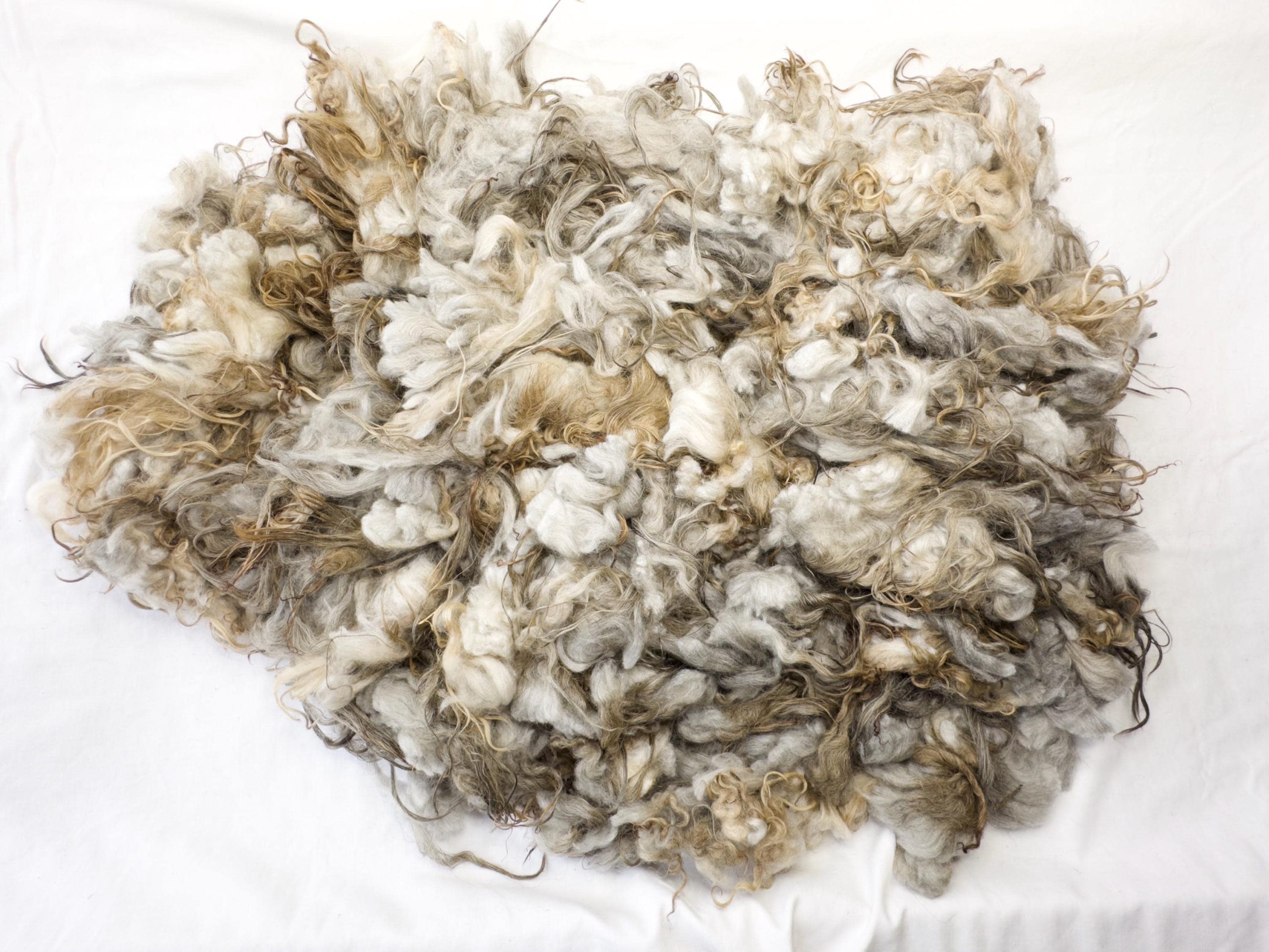 Larkspur Fleece - Image 4
