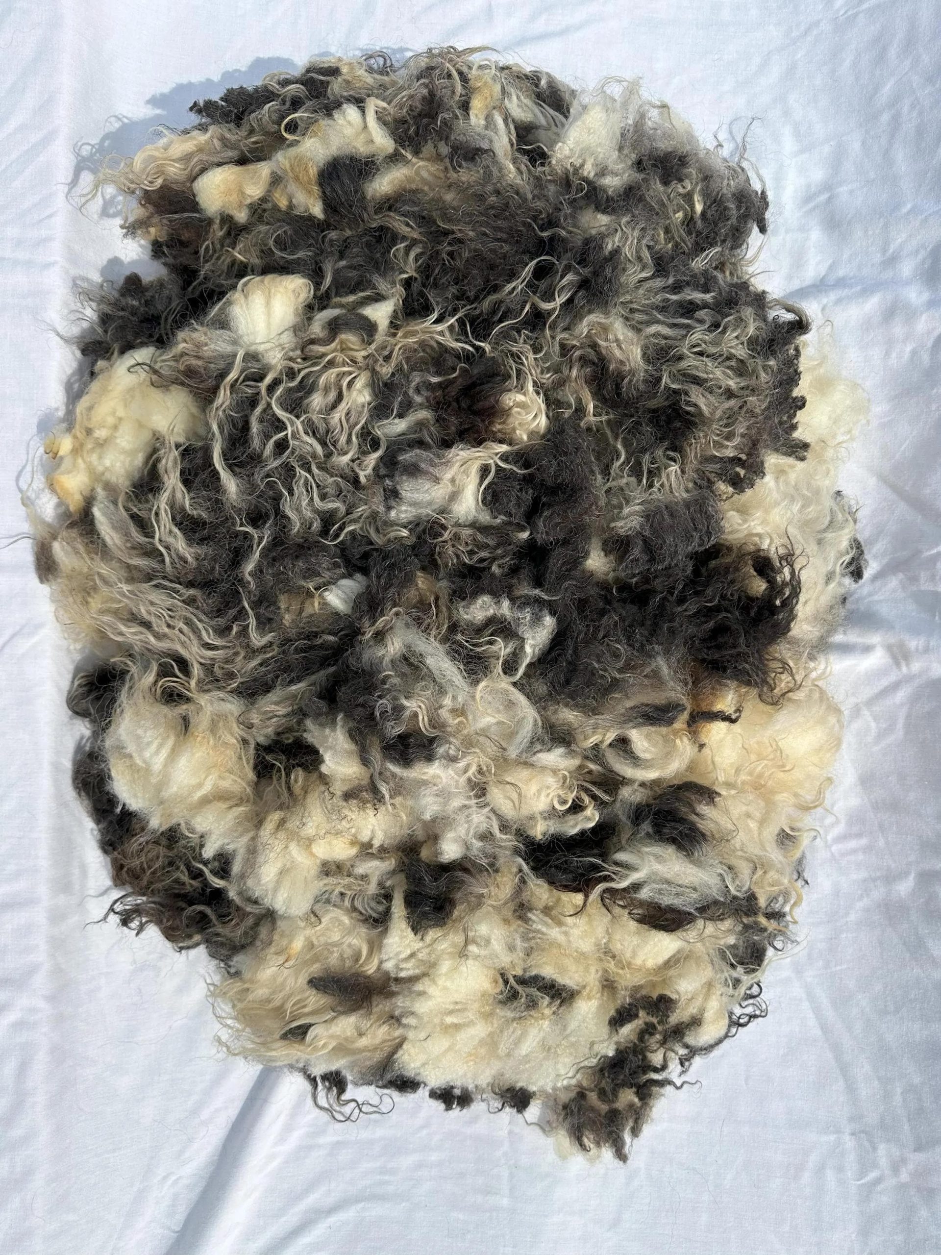 Bellisima Fleece - Image 3