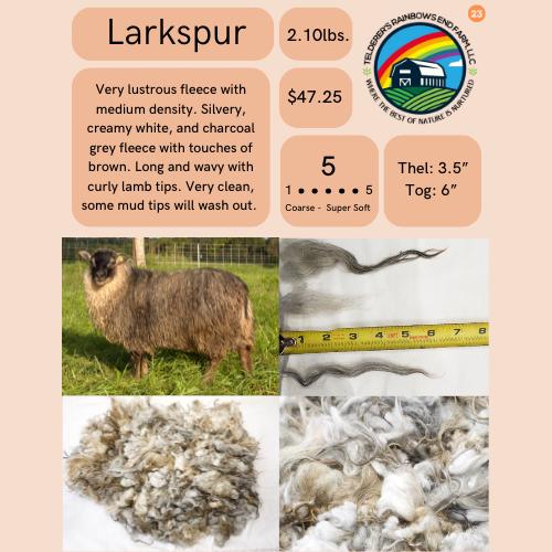 Larkspur Fleece - Image 2