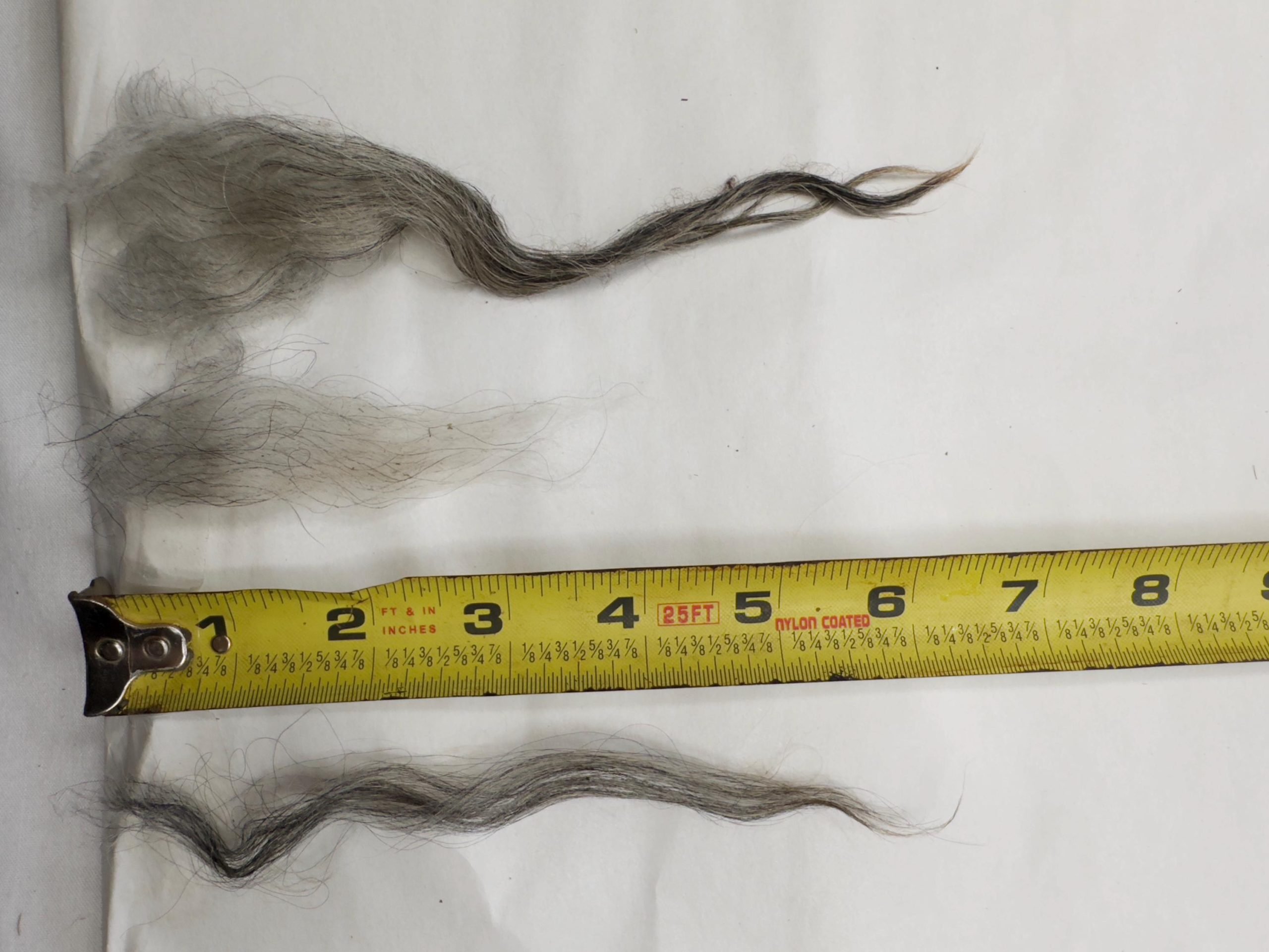 Larkspur Fleece - Image 3