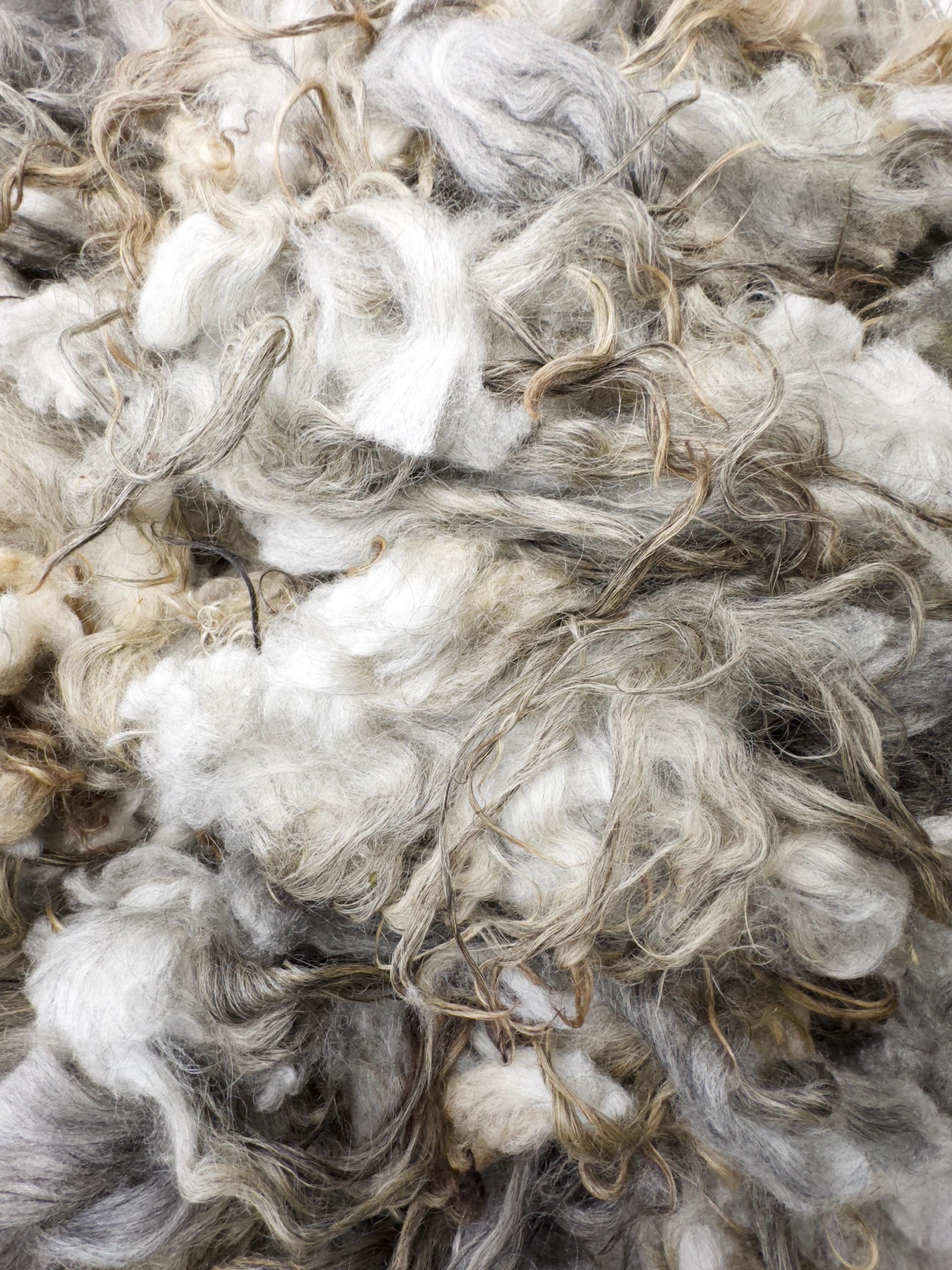 Larkspur Fleece - Image 5