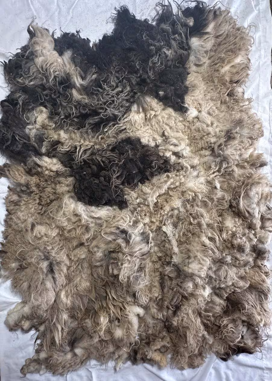 Zola Fleece - Image 2