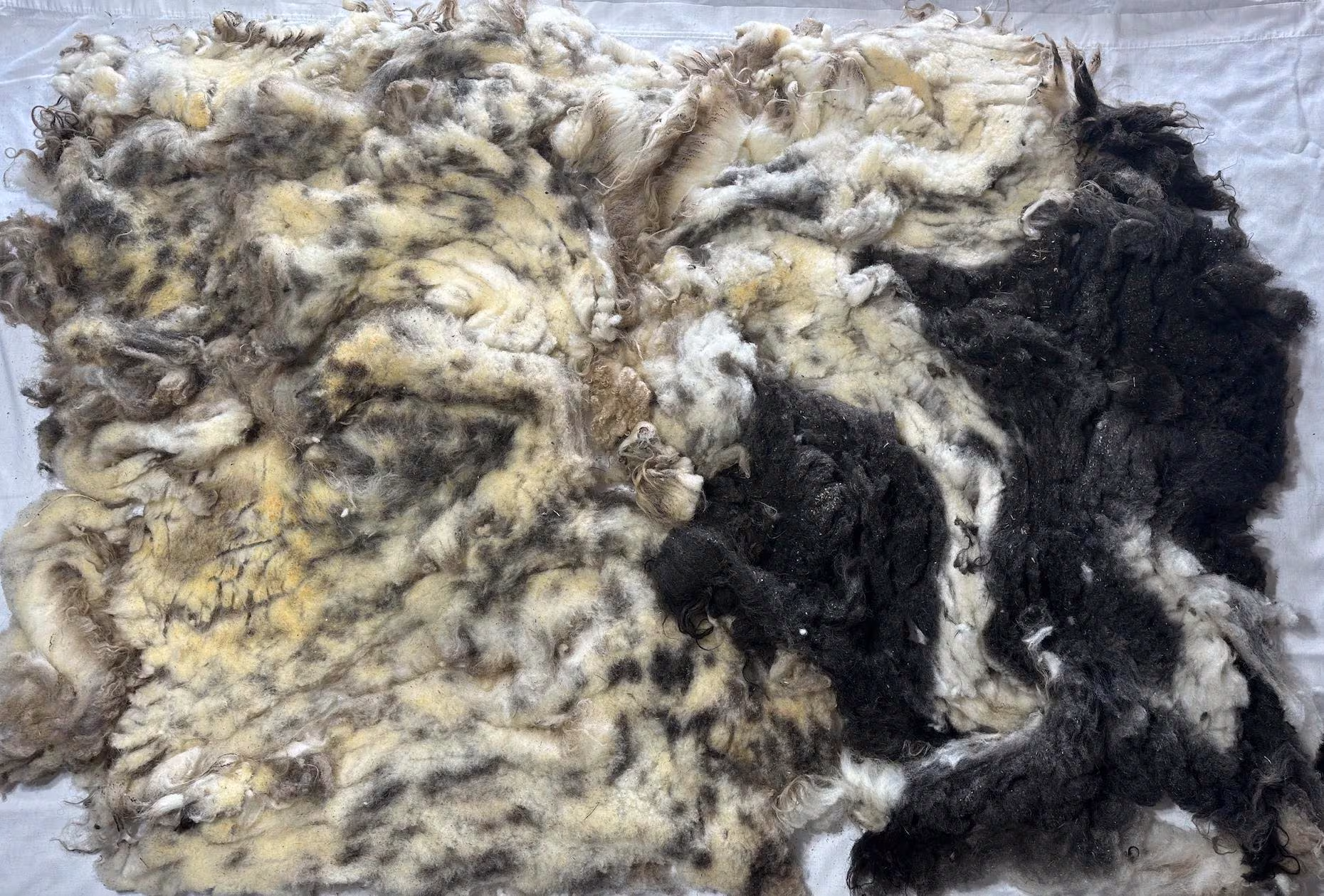 Zola Fleece