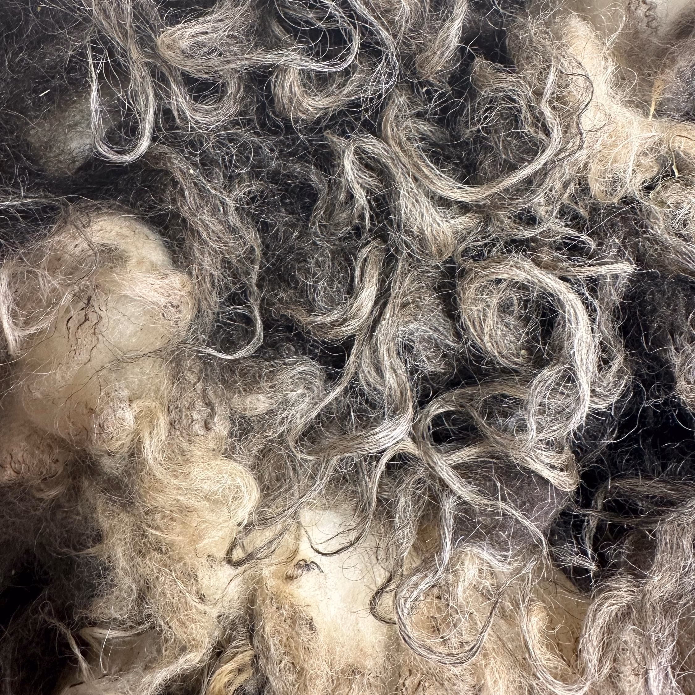 Zola Fleece - Image 3