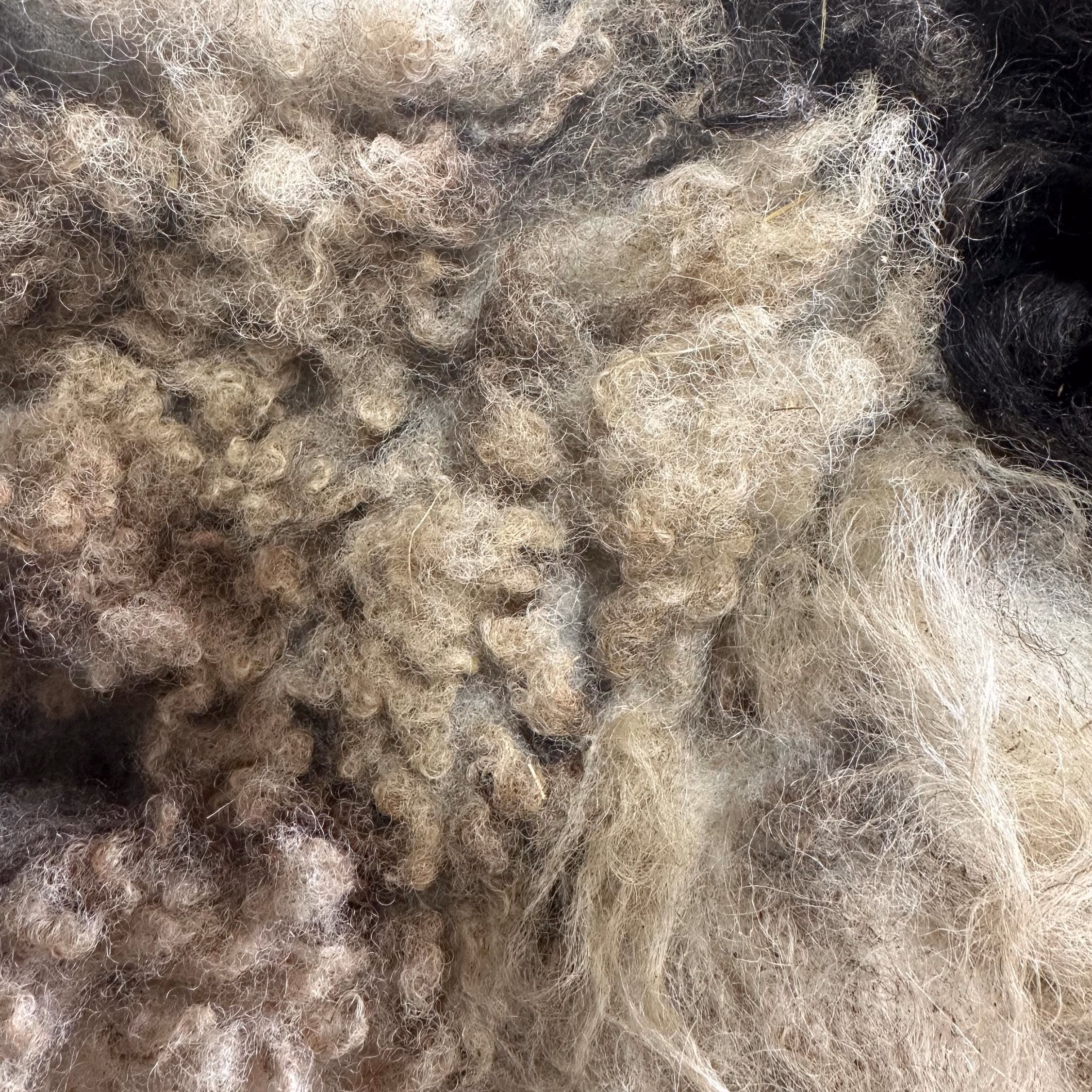 Zola Fleece - Image 4