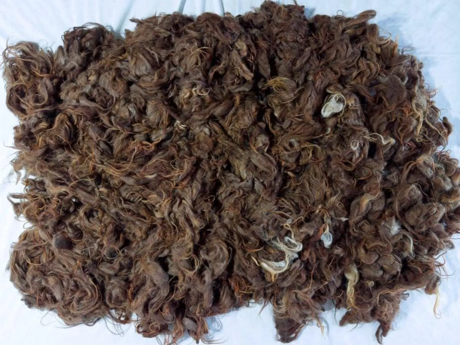 Toffee Fleece