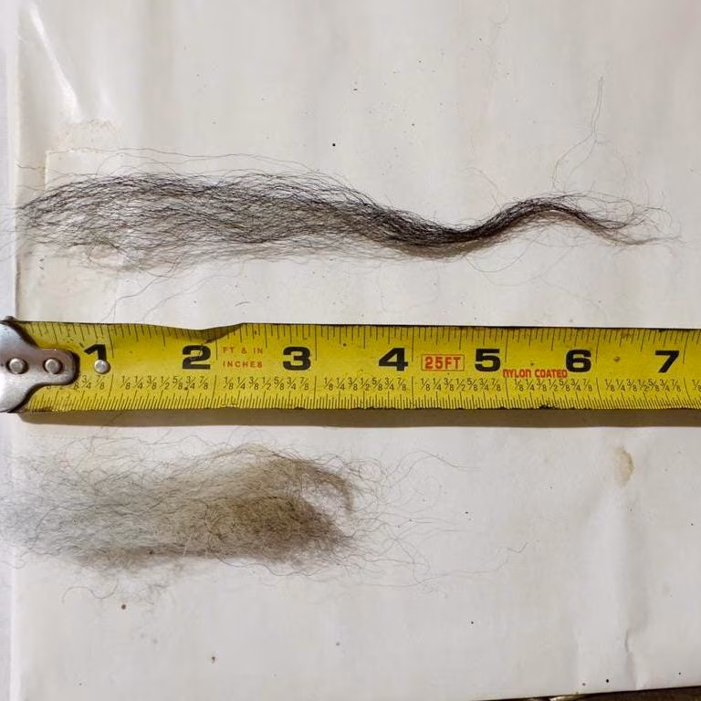 Lavender Fleece - Image 6
