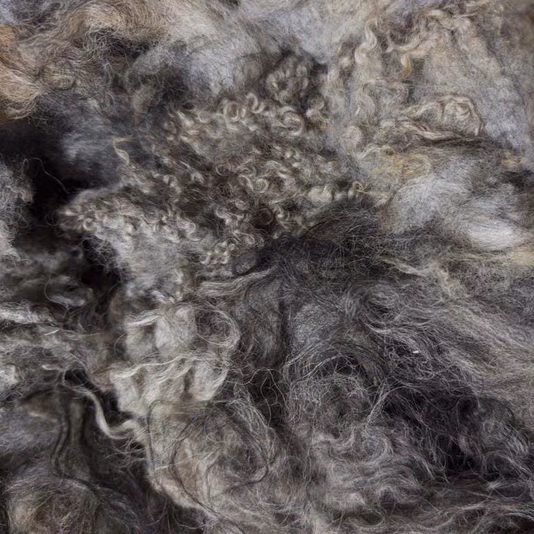 Lavender Fleece - Image 5