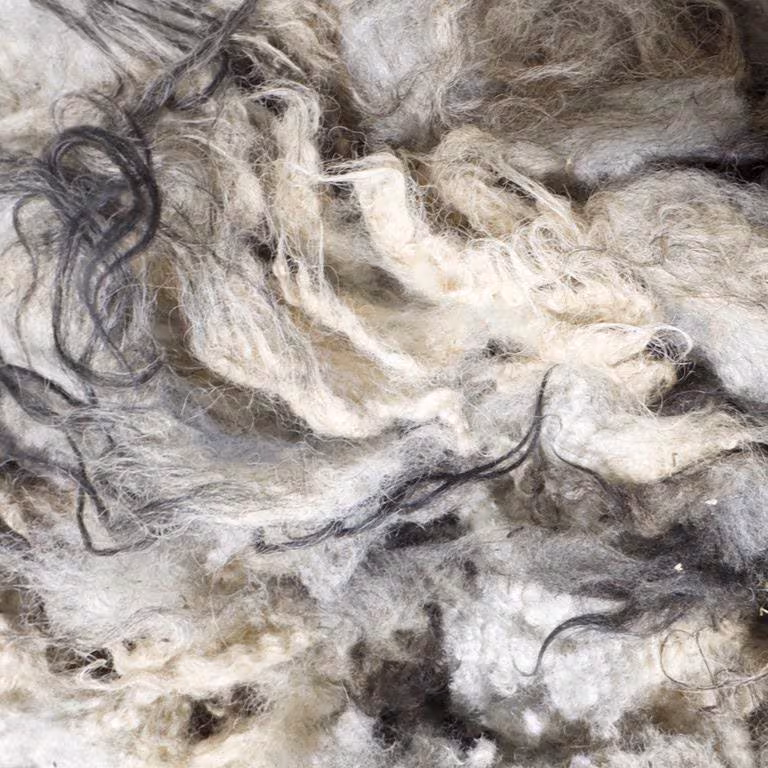 Lavender Fleece - Image 4