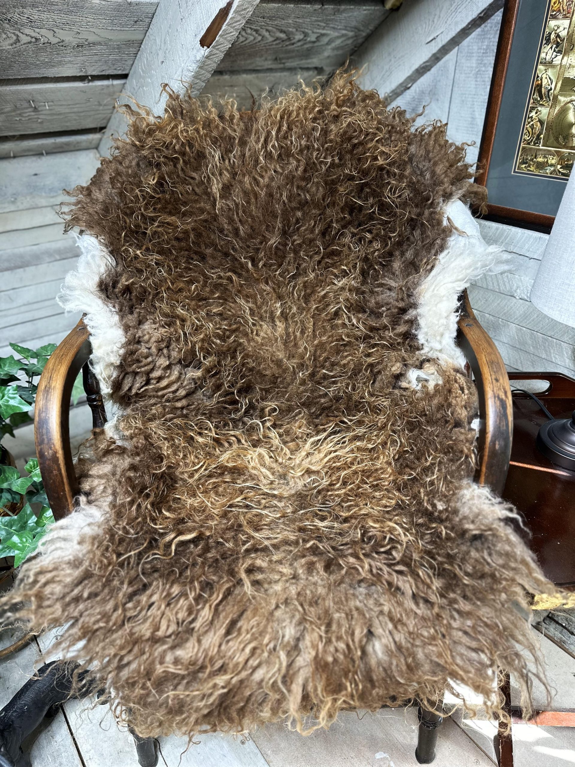 Big Beautiful Icelandic sheepskin throw l natural rug | original wool rug | hide | fur | skin | sustainable farm | brown with white patches - Image 2