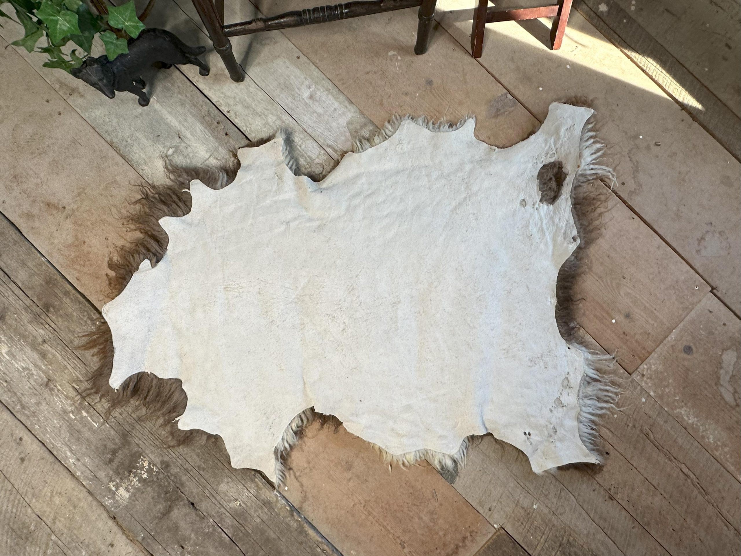 Big Beautiful Icelandic sheepskin throw l natural rug | original wool rug | hide | fur | skin | sustainable farm | brown with white patches - Image 6