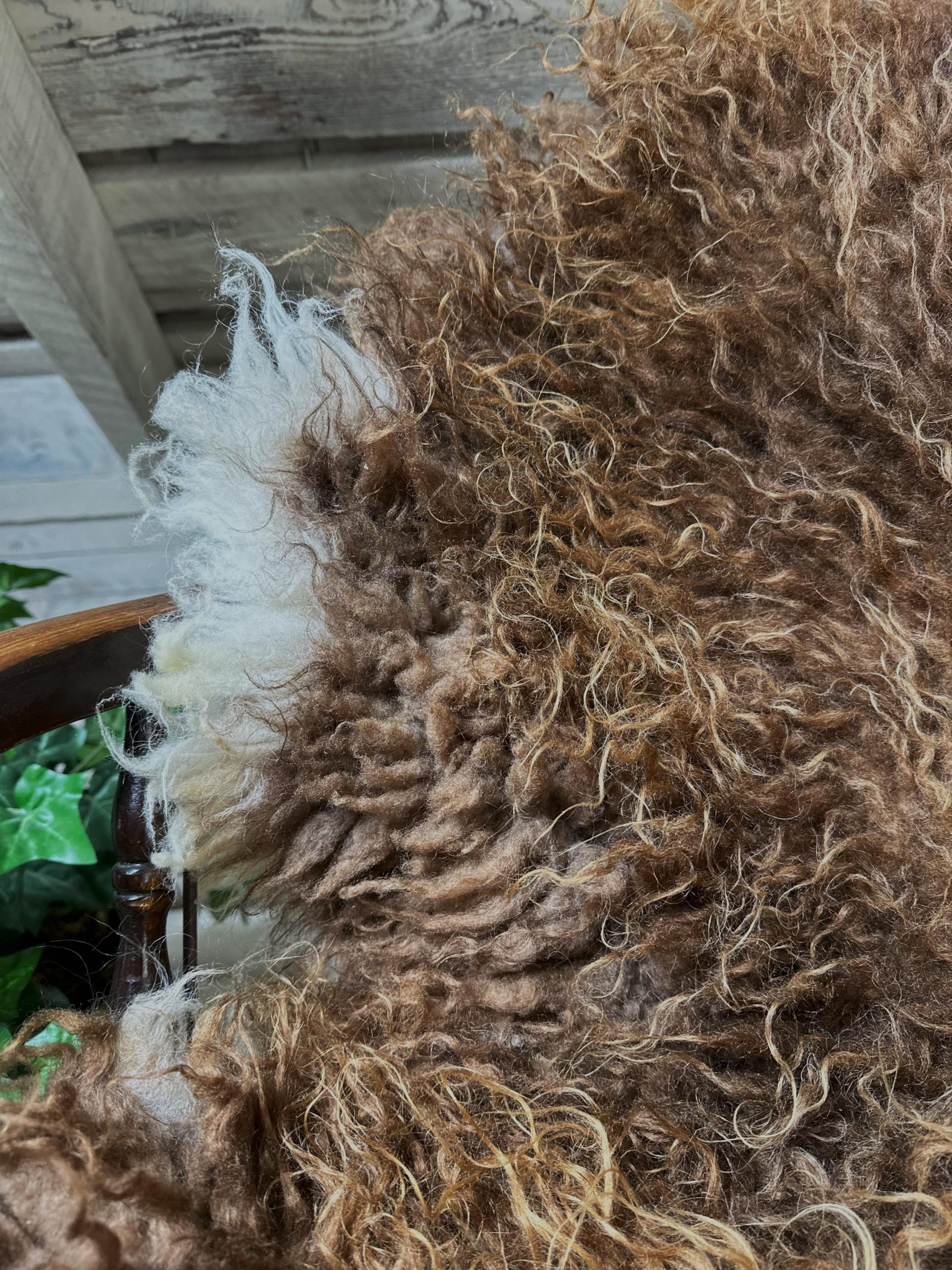 Big Beautiful Icelandic sheepskin throw l natural rug | original wool rug | hide | fur | skin | sustainable farm | brown with white patches - Image 4