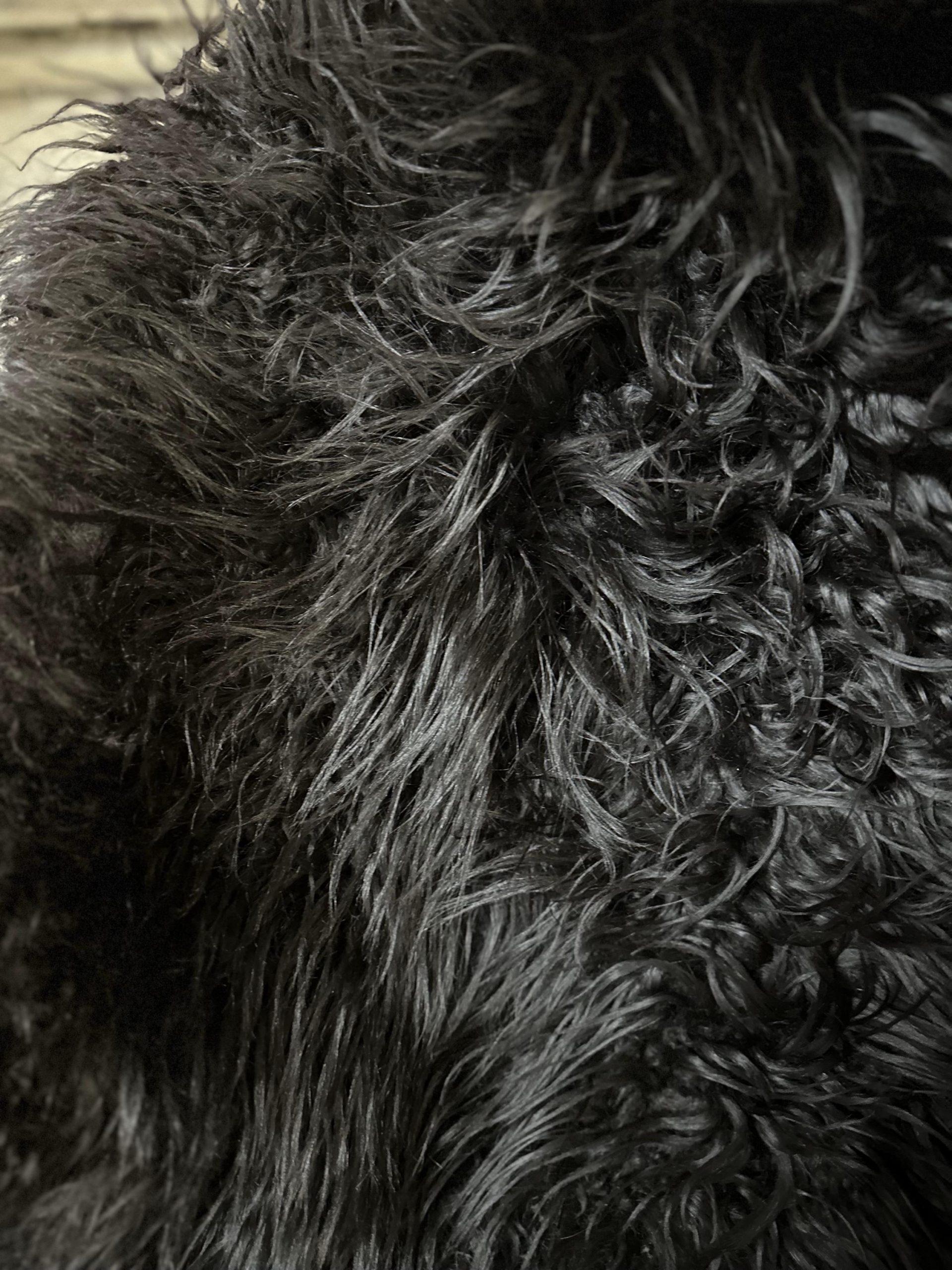 Gorgeous Icelandic sheepskin throw l natural rug | original wool rug | Hygge home style | skin | hide | sustainable | Jet black, very soft. - Image 3