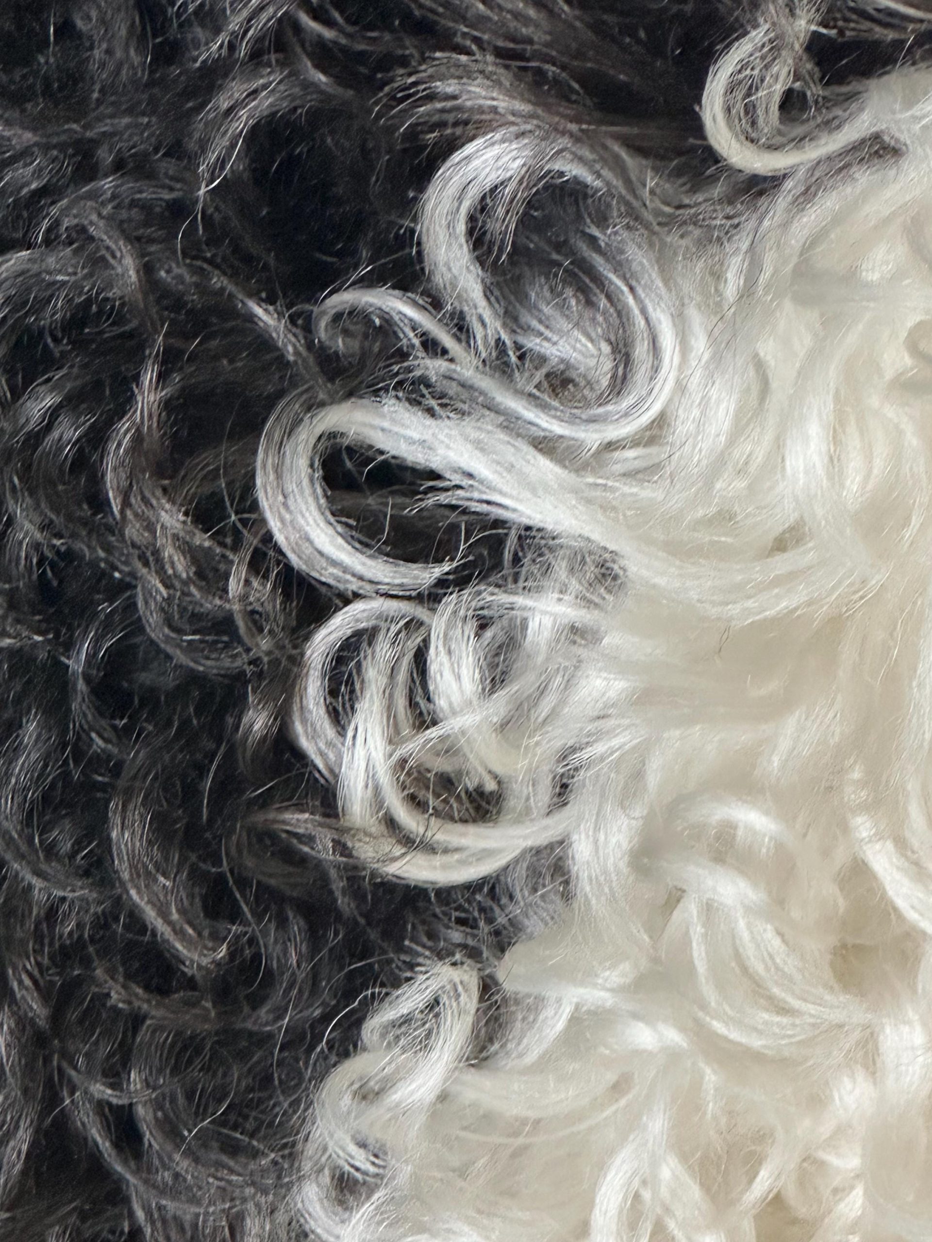 White & Black Piebald Sheepskin – Unique Icelandic Pattern, Soft Wool - Image 4