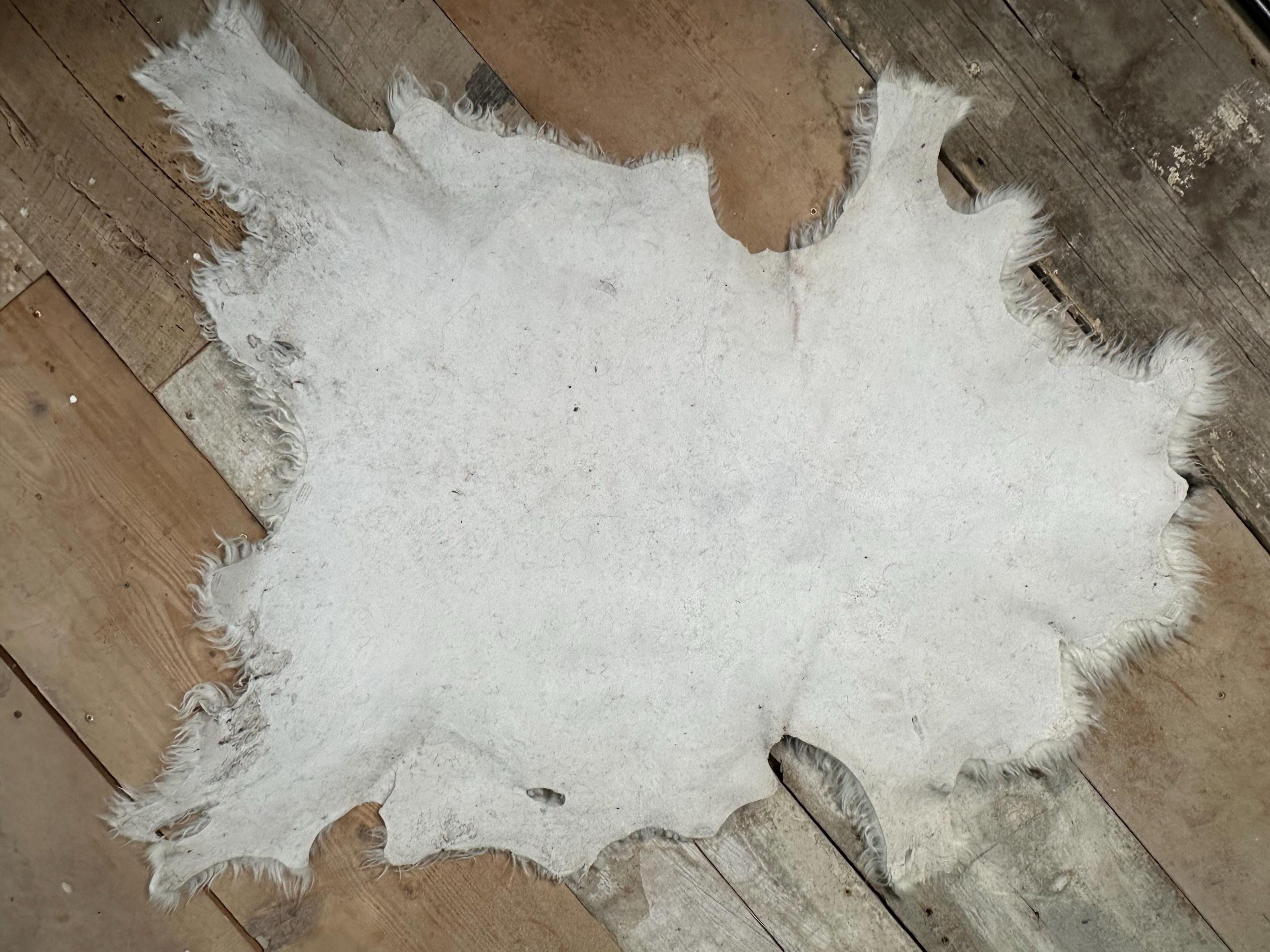 White & Black Piebald Sheepskin – Unique Icelandic Pattern, Soft Wool - Image 7