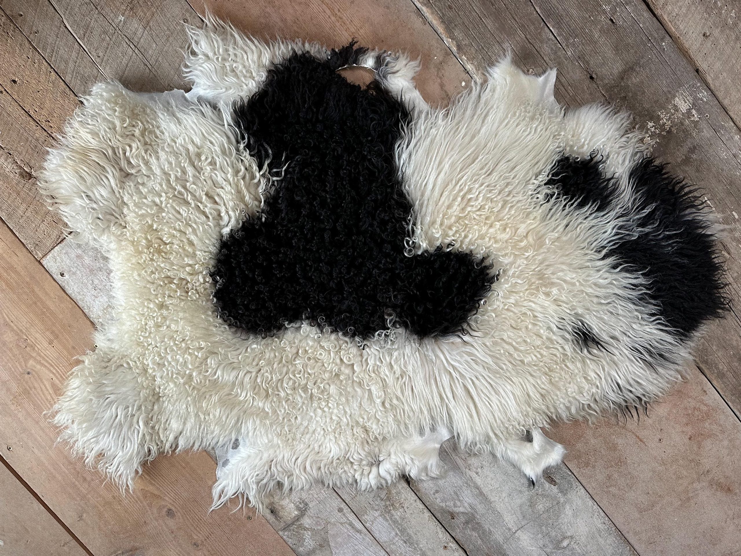 White & Black Spotted Icelandic Sheepskin Rug – Soft, Artisan Farm Hide - Image 6
