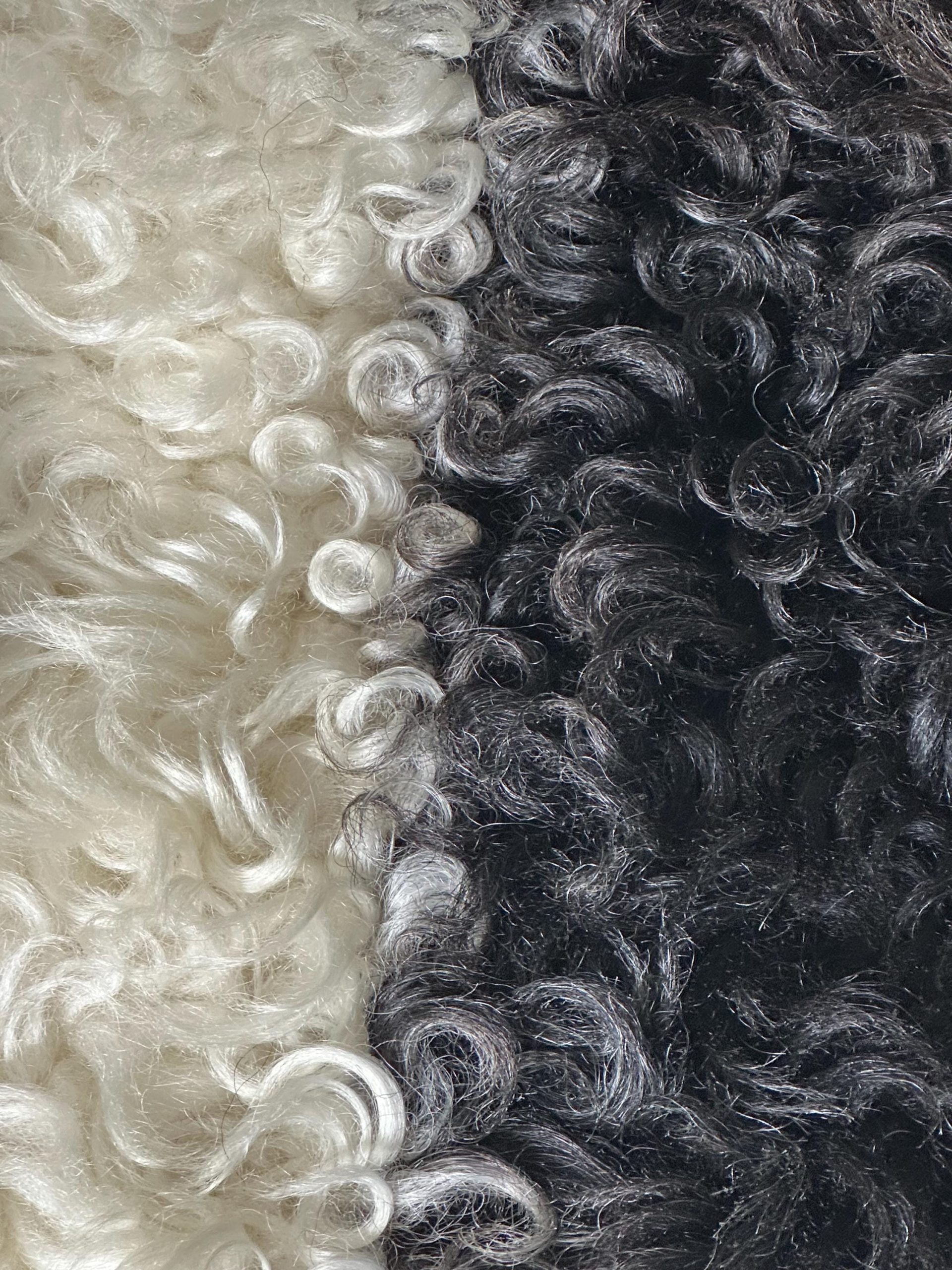 White & Black Piebald Sheepskin – Unique Icelandic Pattern, Soft Wool - Image 5