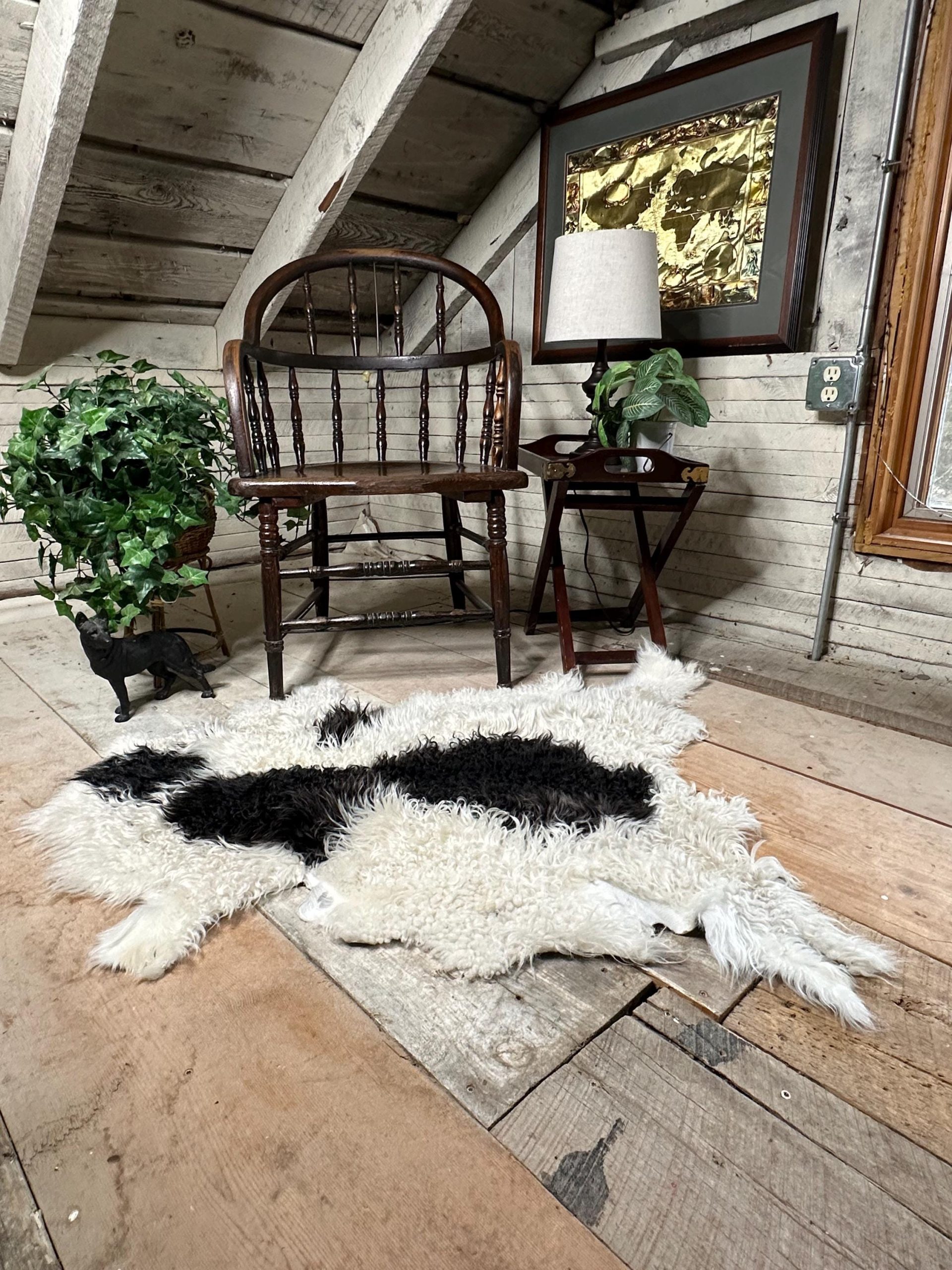 White & Black Piebald Sheepskin – Unique Icelandic Pattern, Soft Wool - Image 3