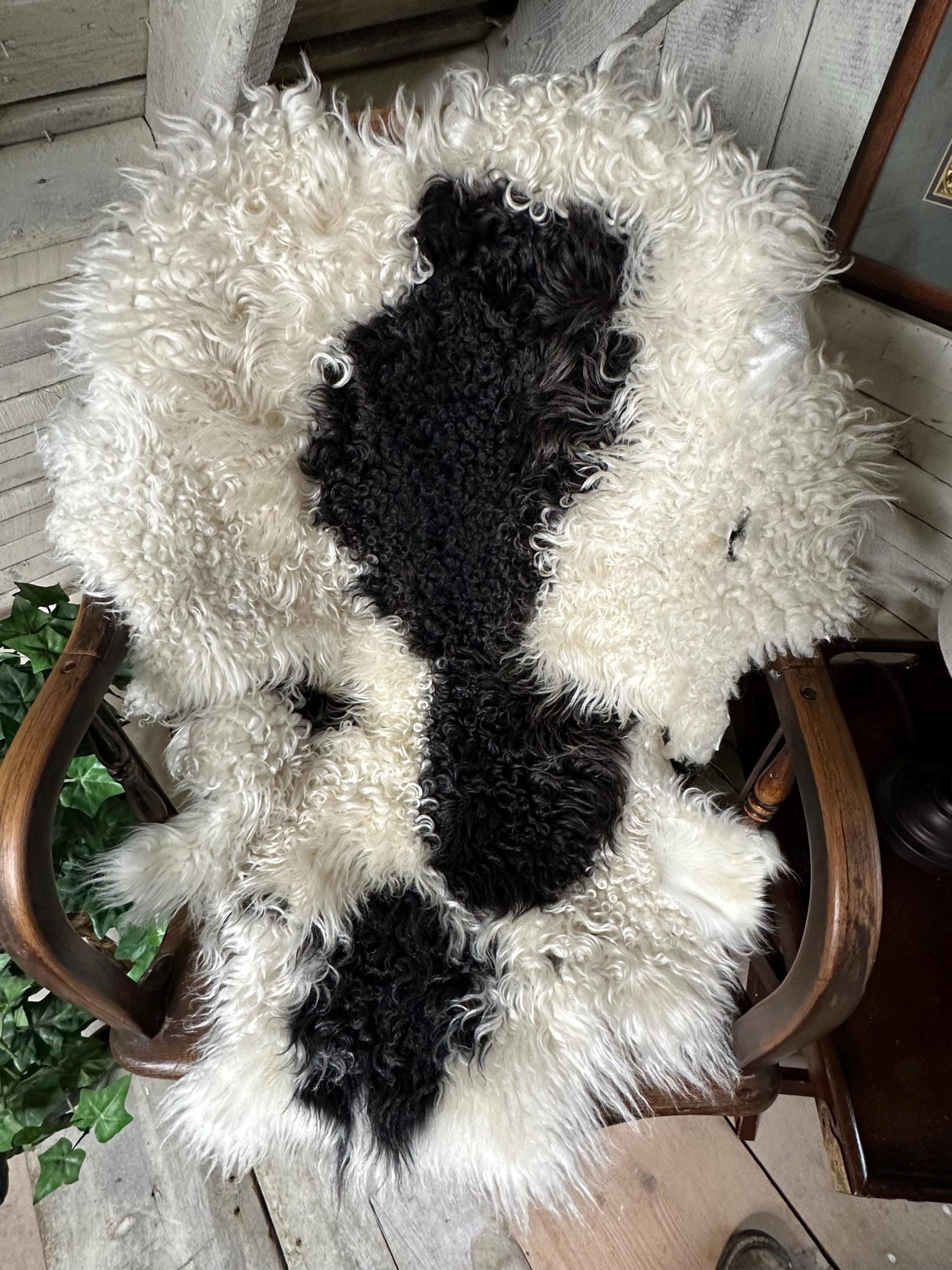 White & Black Piebald Sheepskin – Unique Icelandic Pattern, Soft Wool - Image 2