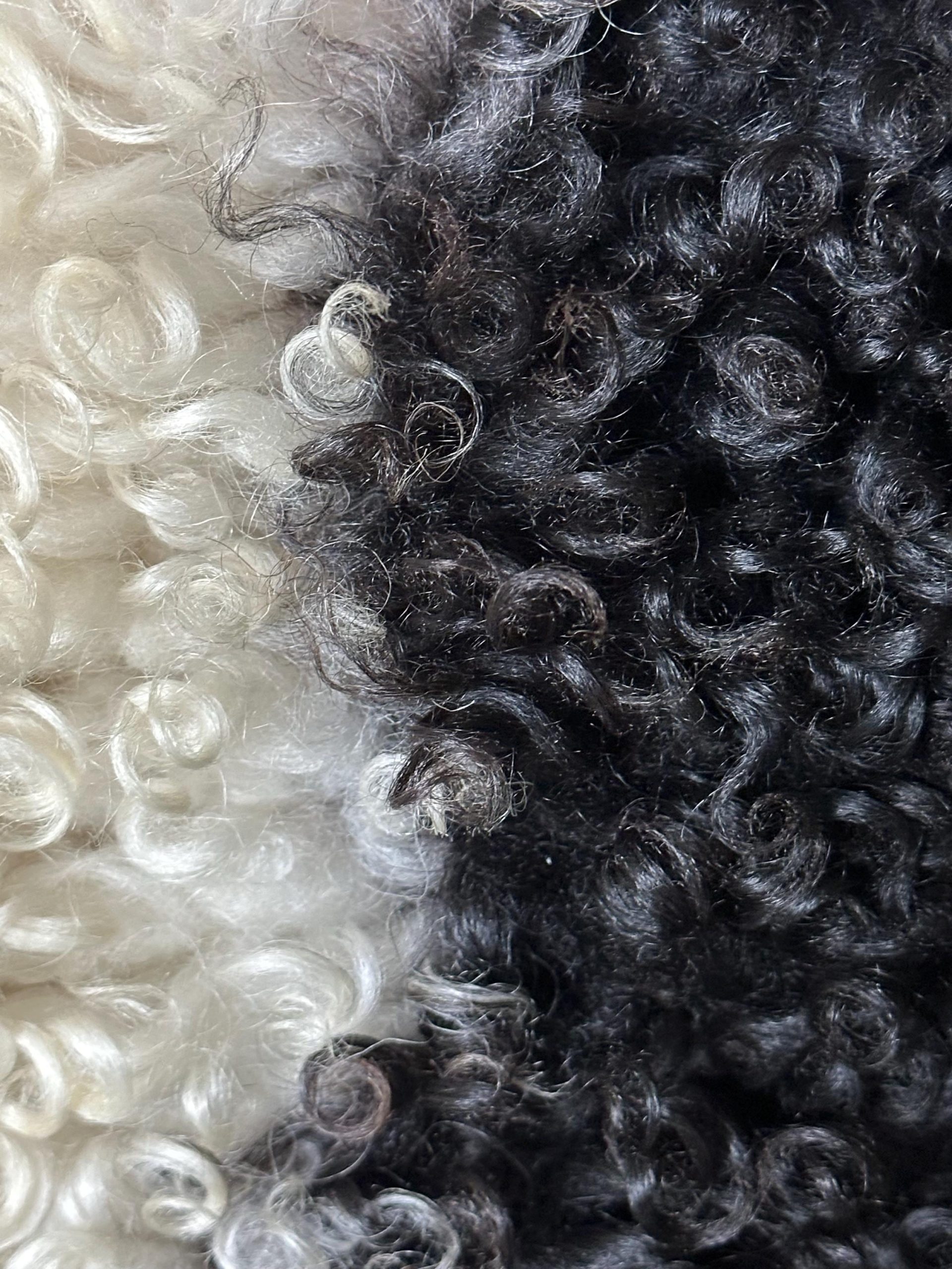 White & Black Spotted Icelandic Sheepskin Rug – Soft, Artisan Farm Hide - Image 4