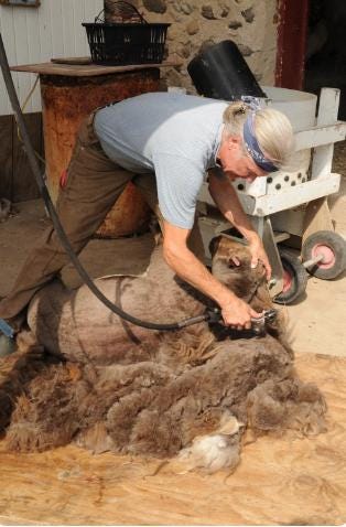 Coffey Natural Yarn - Image 6