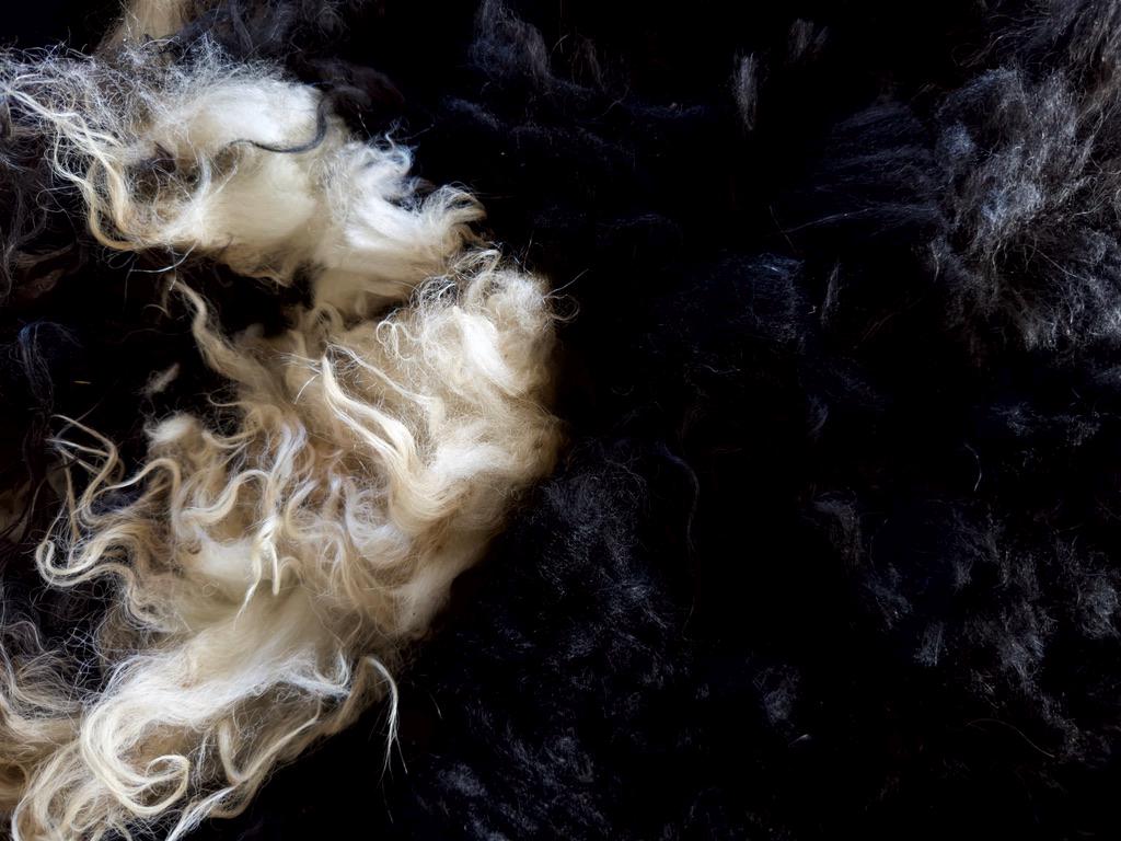 JASMINE Fleece - Image 4