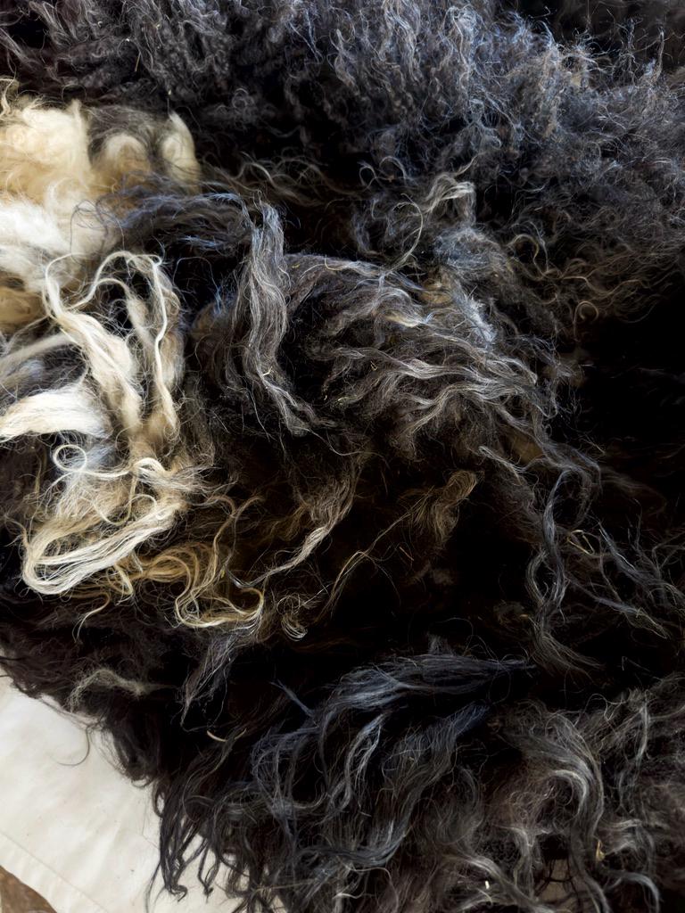 JASMINE Fleece - Image 5