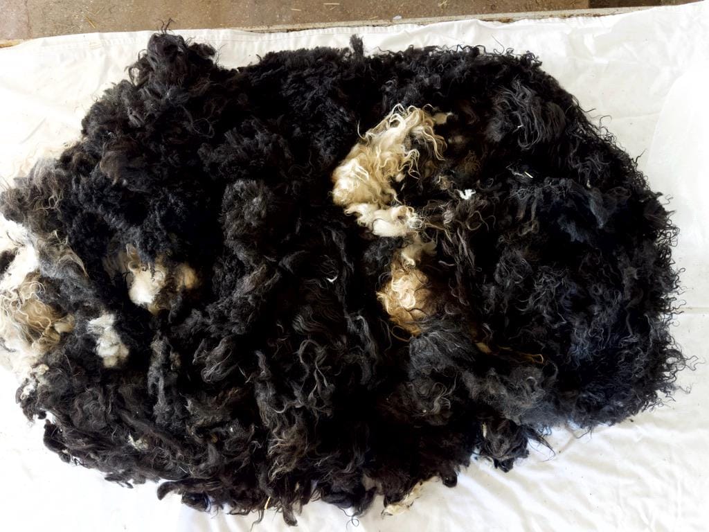 JASMINE Fleece - Image 7