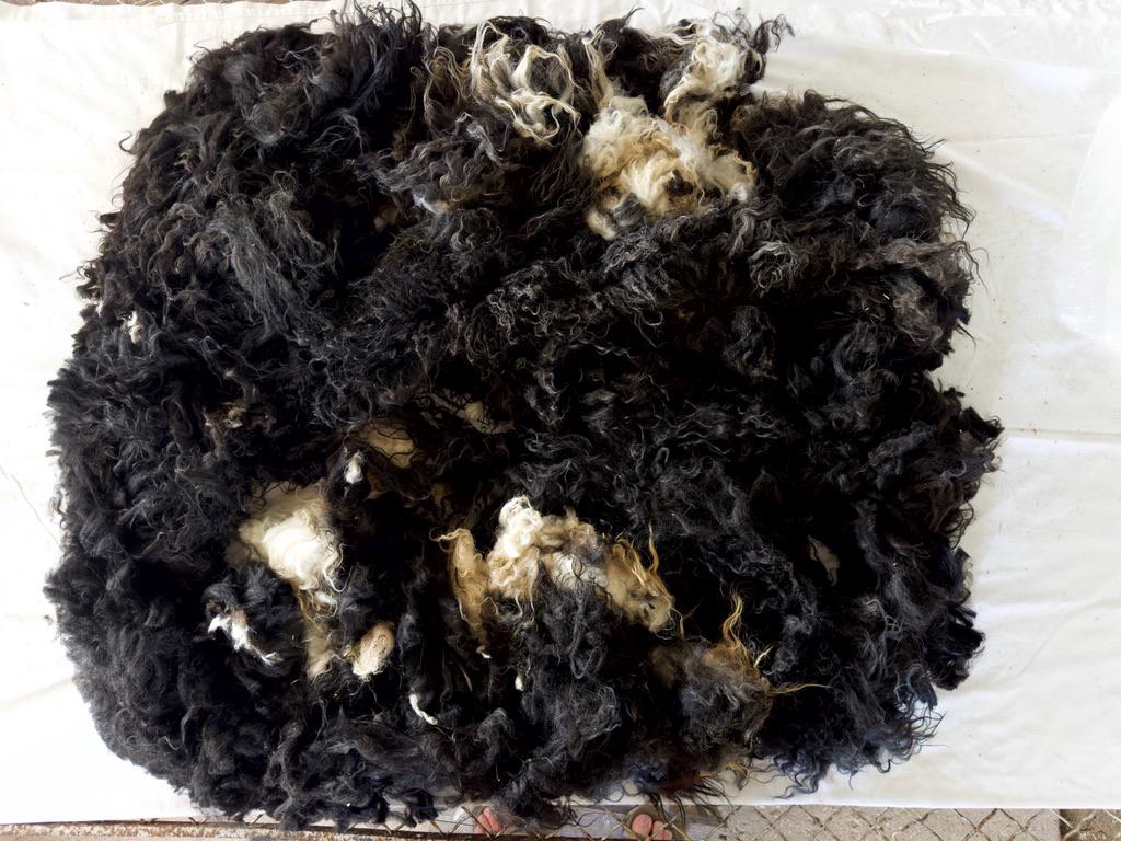 JASMINE Fleece