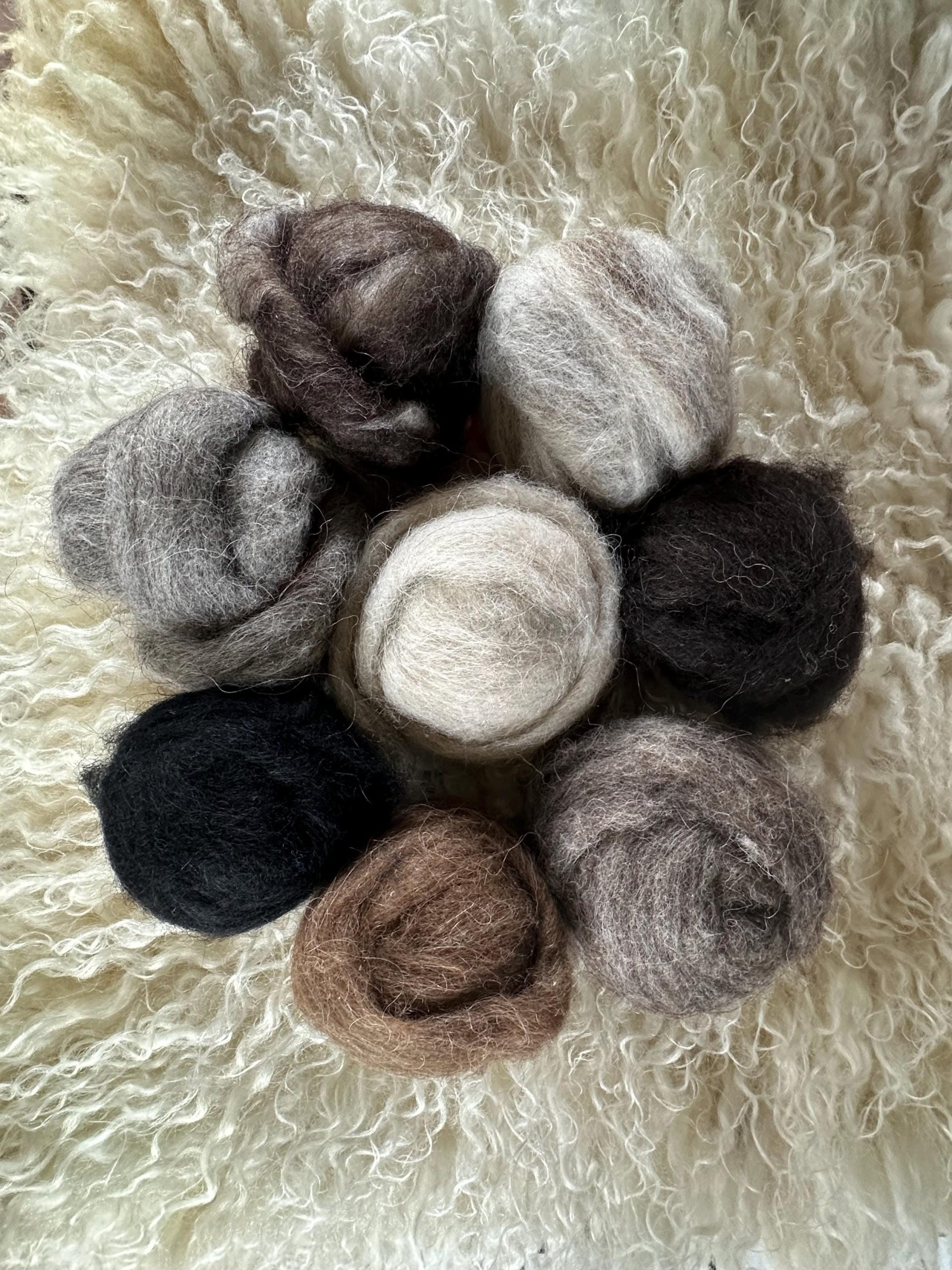 Natural Icelandic Tinkerbell Sheep Fleece - Image 7