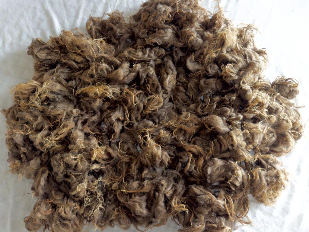 Luna Fleece