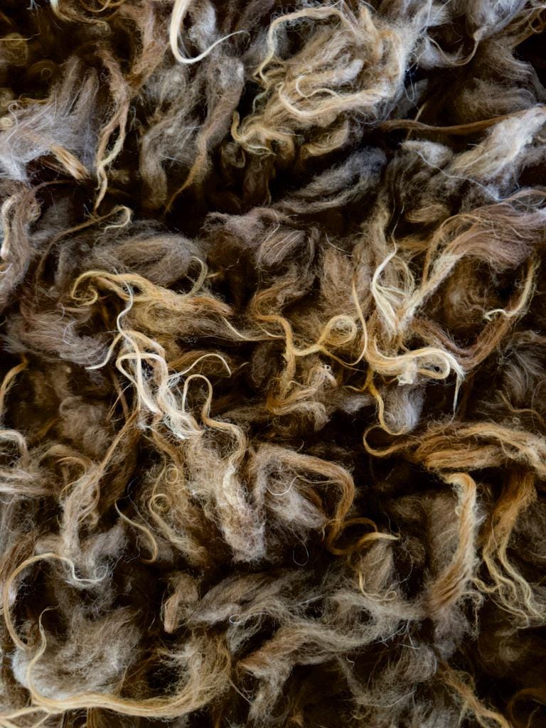 Luna Fleece - Image 5