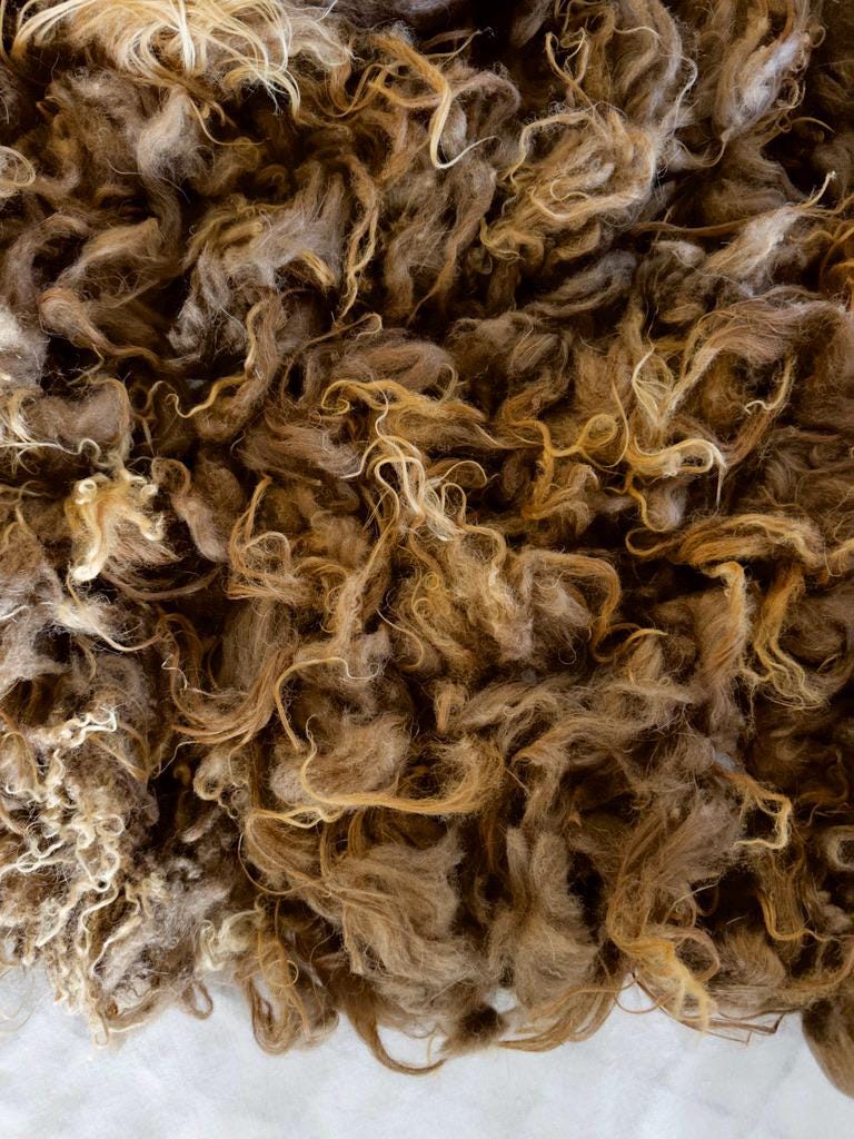 Luna Fleece - Image 4