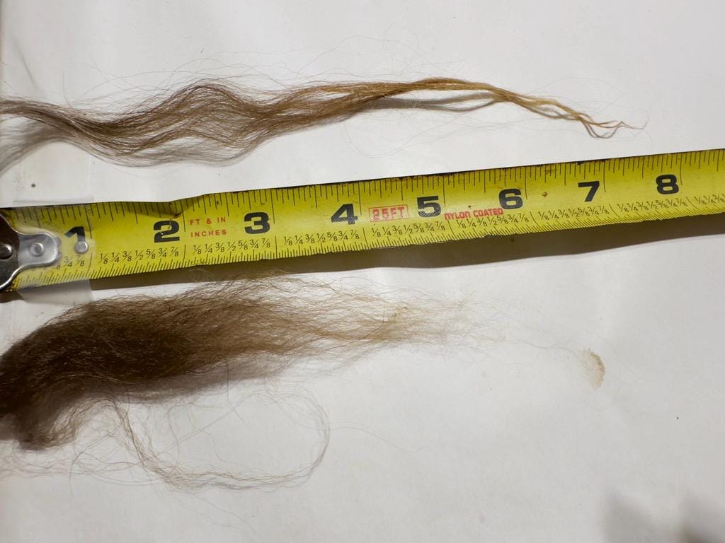 Natural Icelandic Tinkerbell Sheep Fleece - Image 3
