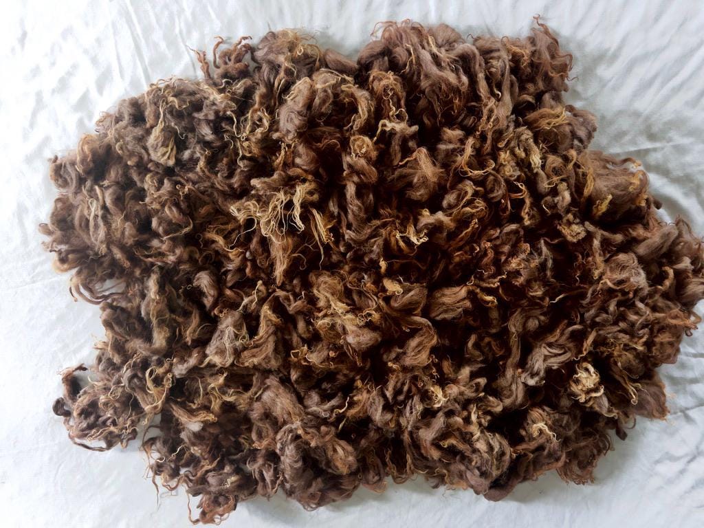 Natural Icelandic Tinkerbell Sheep Fleece