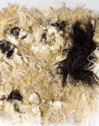 Gennai Fleece