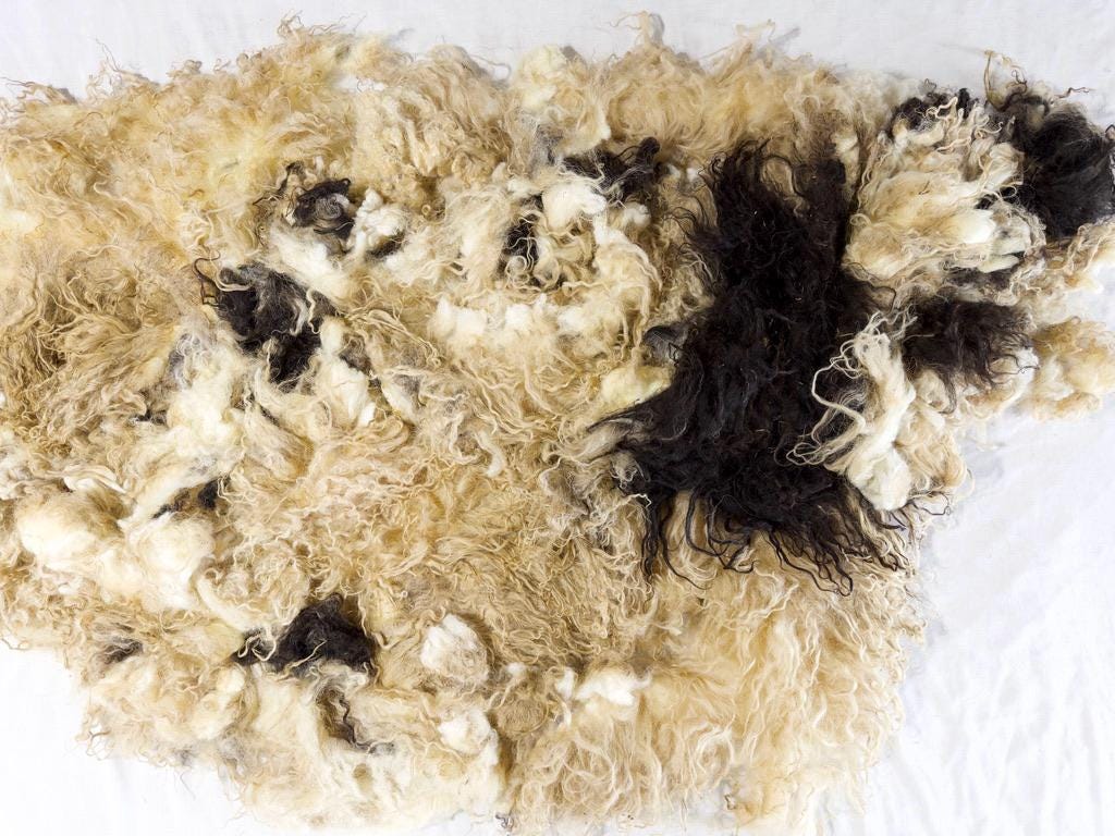 Gennai Fleece