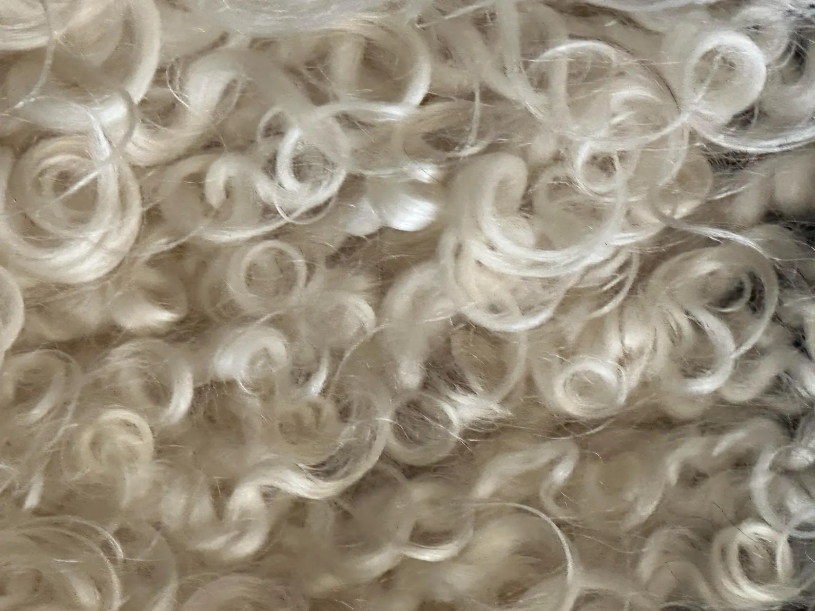 Large Black and white natural Icelandic sheepskin - Image 7