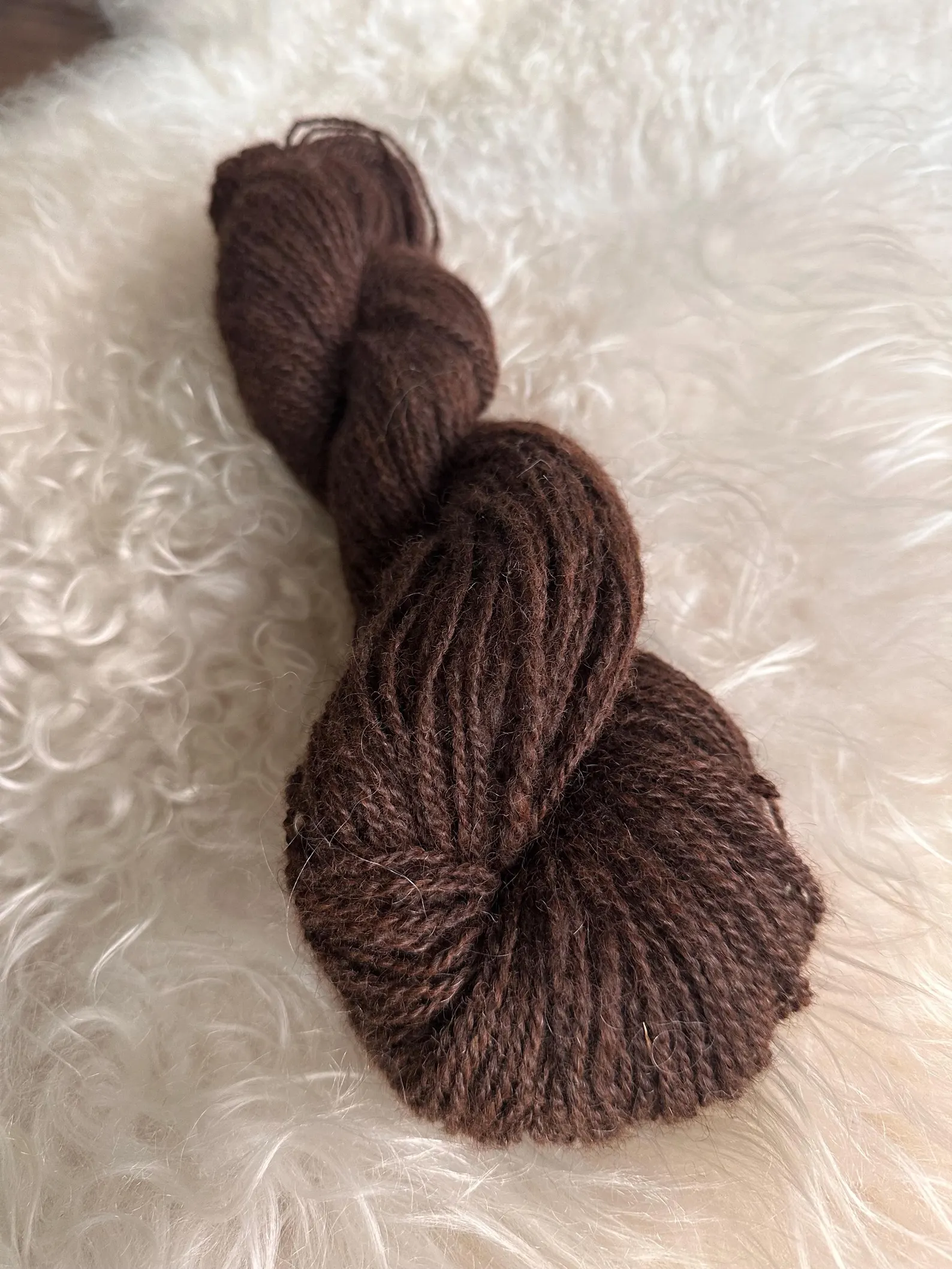 Brownie - Made in USA yarn - Image 4