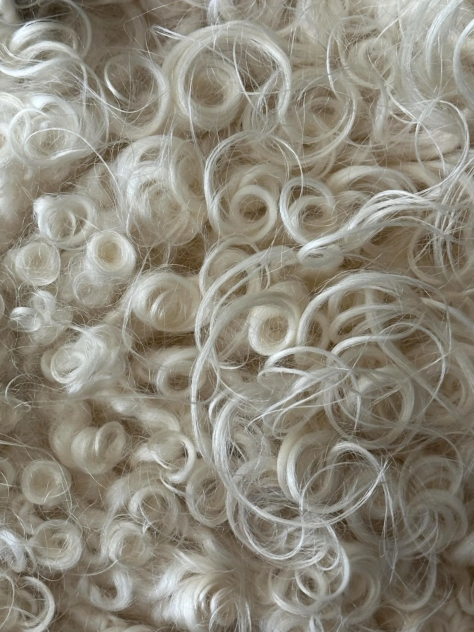 Large Black and white natural Icelandic sheepskin - Image 6