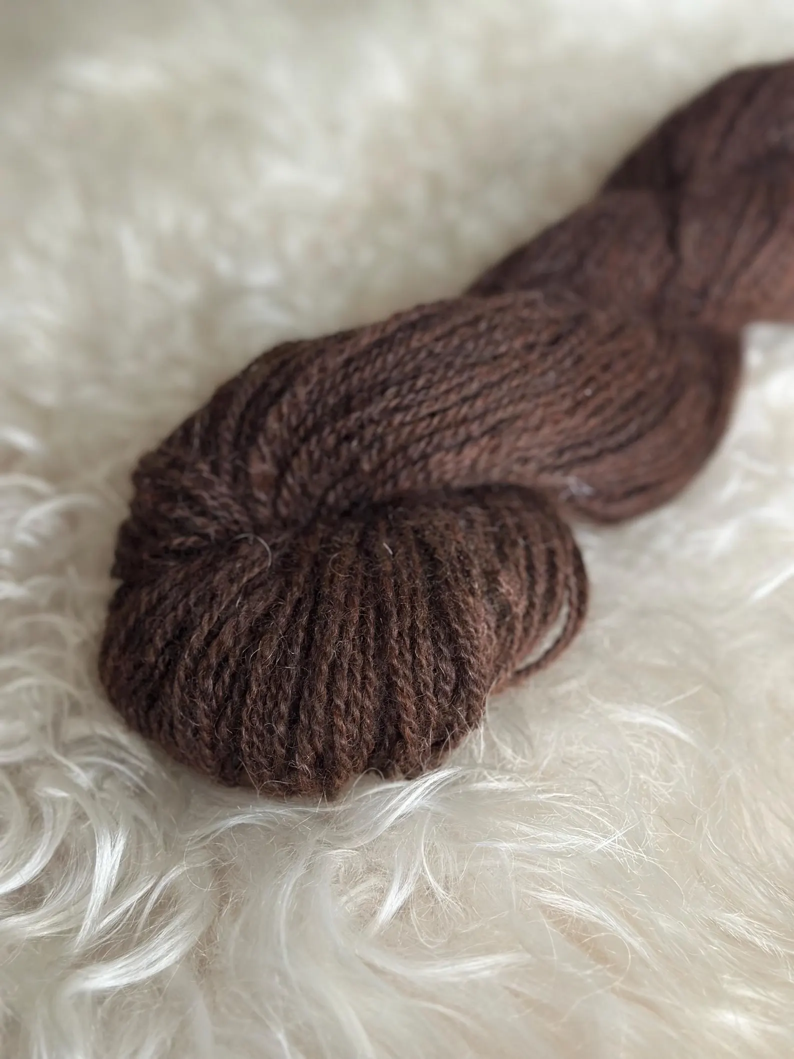 Brownie - Made in USA yarn - Image 2