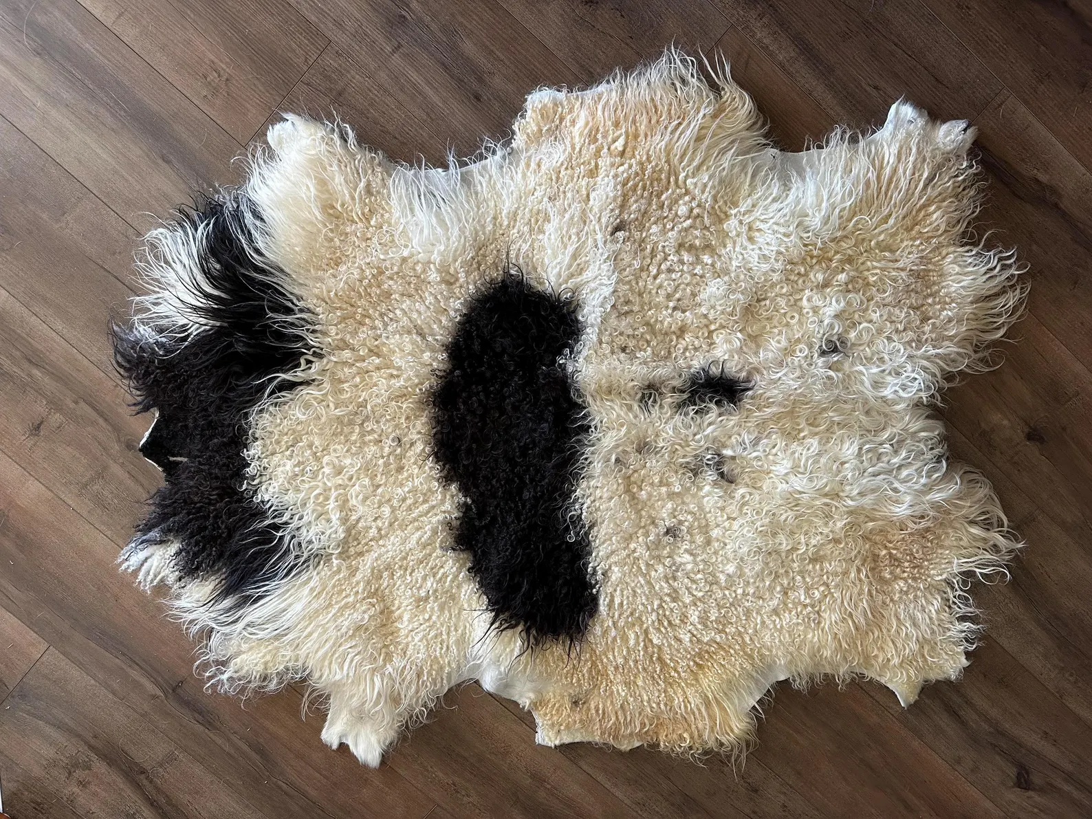 Large Black and white natural Icelandic sheepskin - Image 3