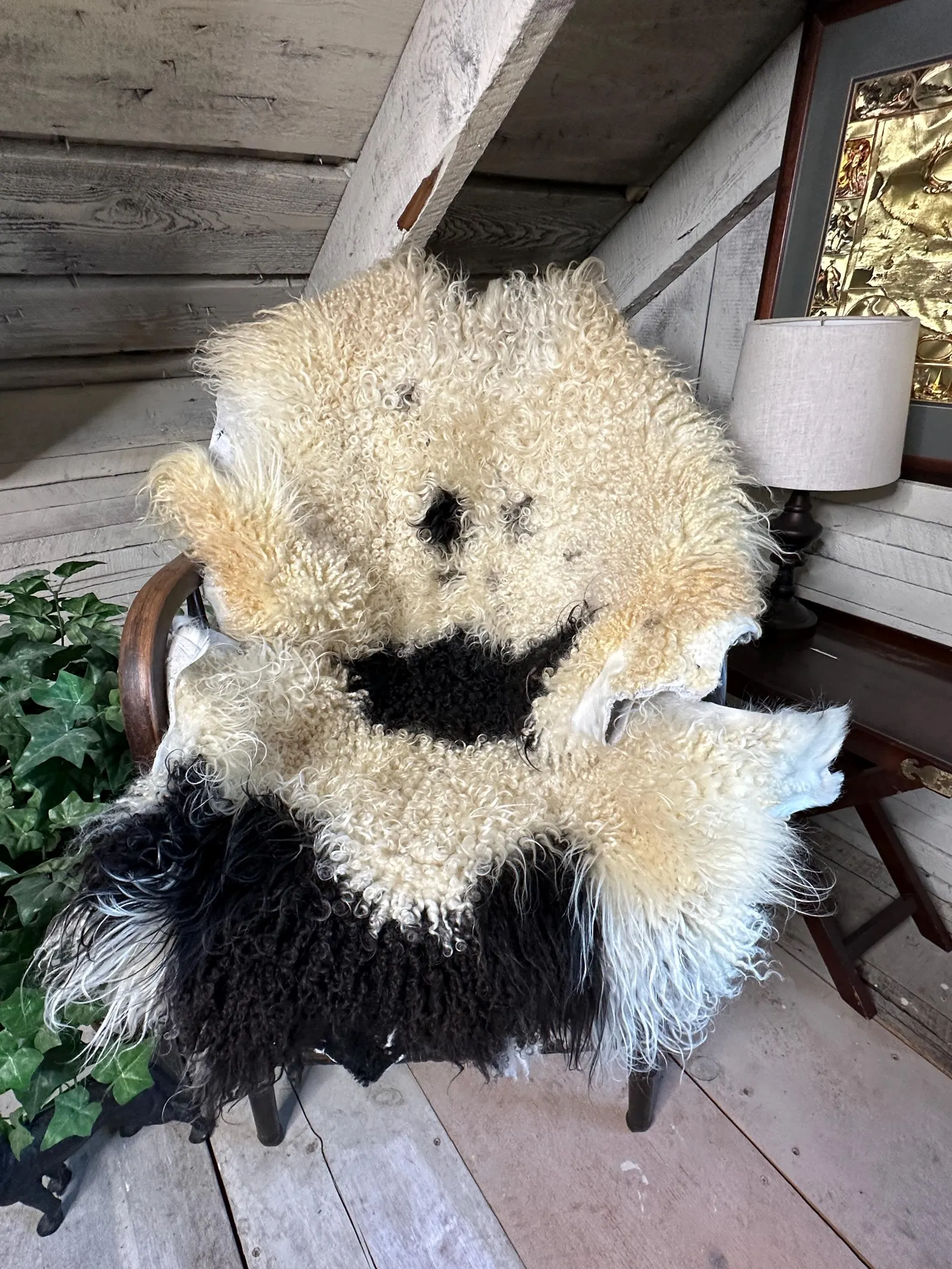 Large Black and white natural Icelandic sheepskin